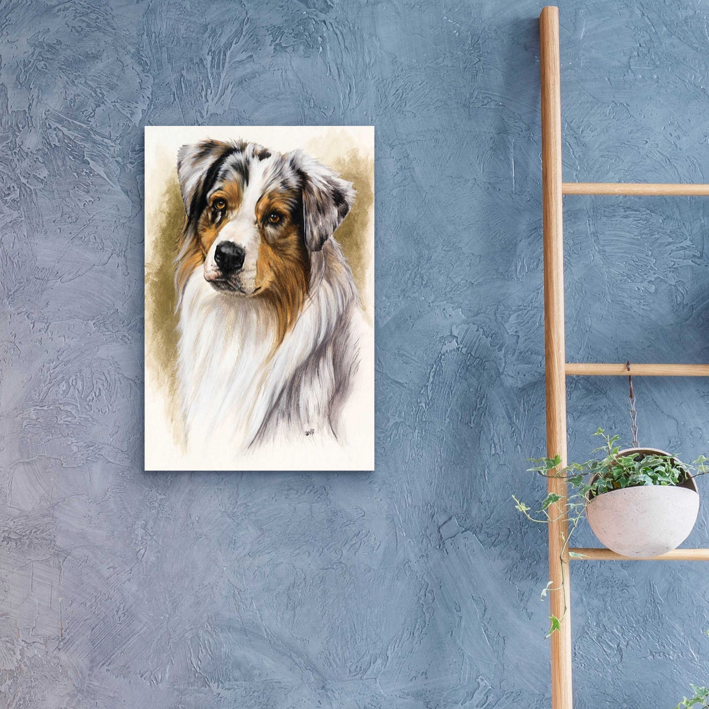 Epic Art 'Australian Shepherd' by Barbara Keith, Acrylic Glass Wall Art,16x24