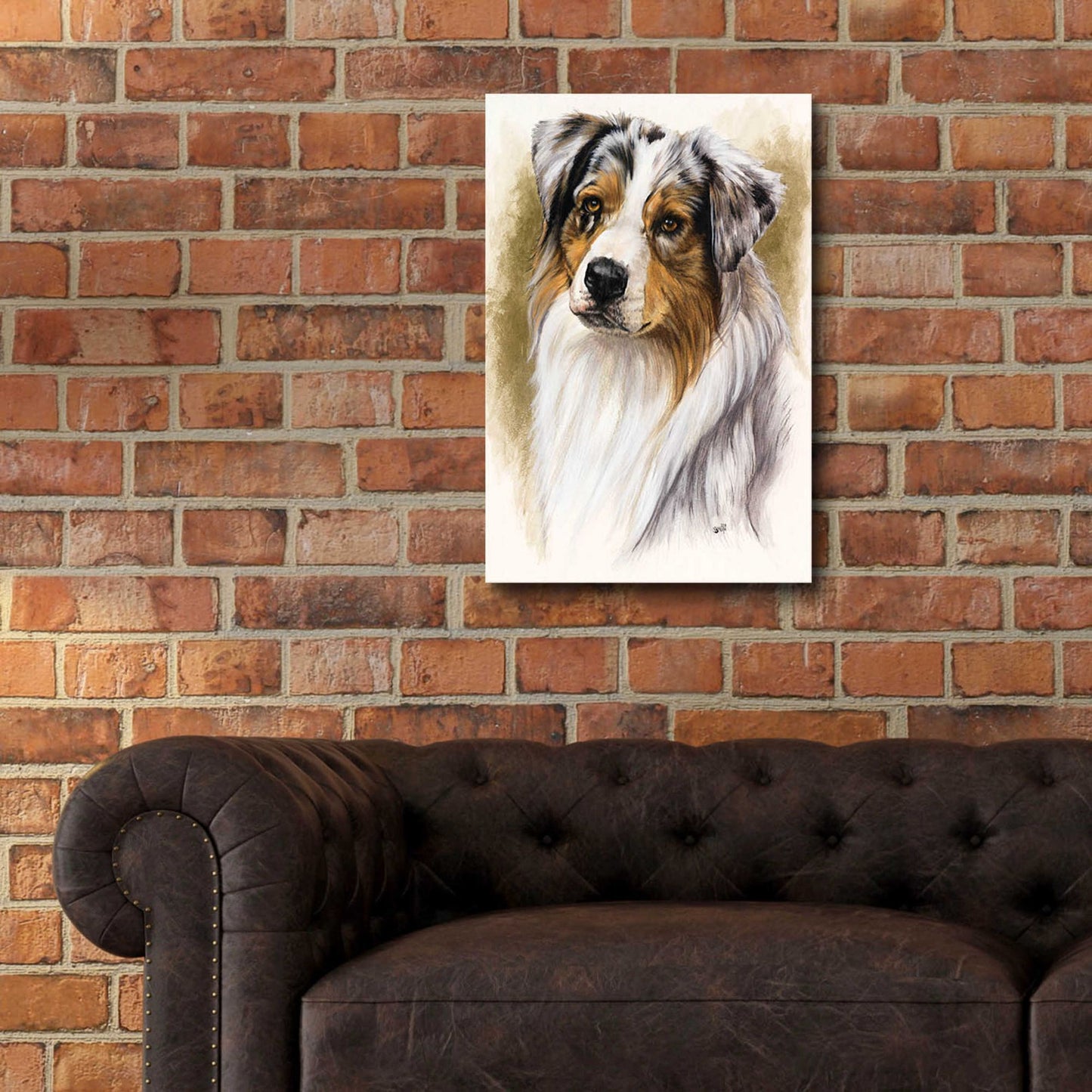 Epic Art 'Australian Shepherd' by Barbara Keith, Acrylic Glass Wall Art,16x24