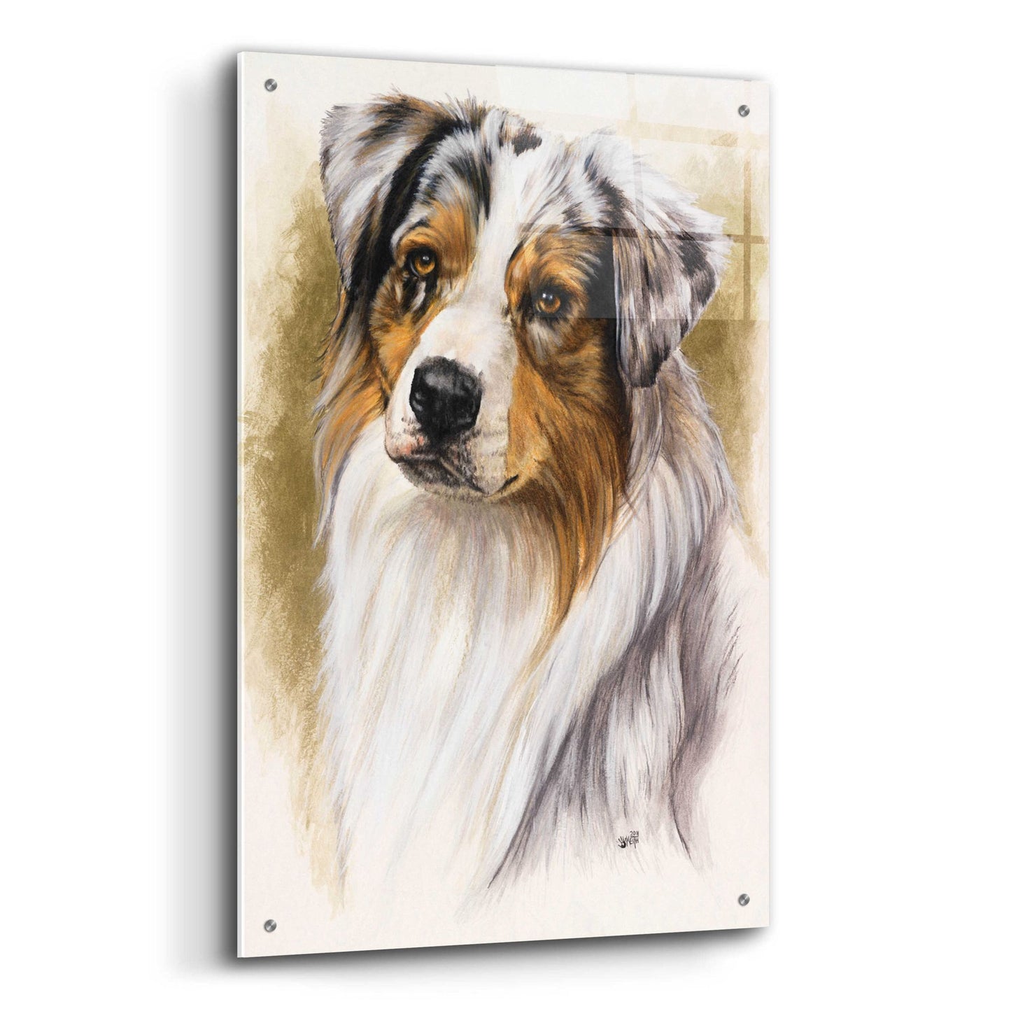 Epic Art 'Australian Shepherd' by Barbara Keith, Acrylic Glass Wall Art,24x36