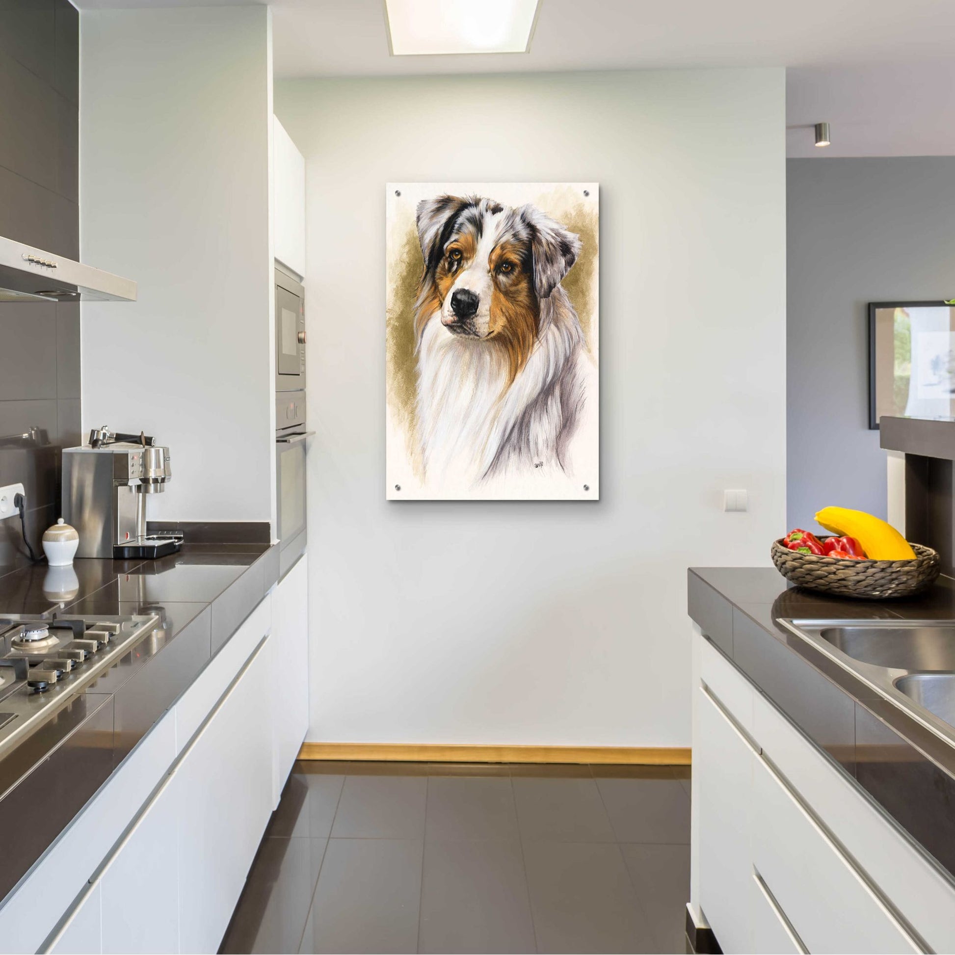 Epic Art 'Australian Shepherd' by Barbara Keith, Acrylic Glass Wall Art,24x36