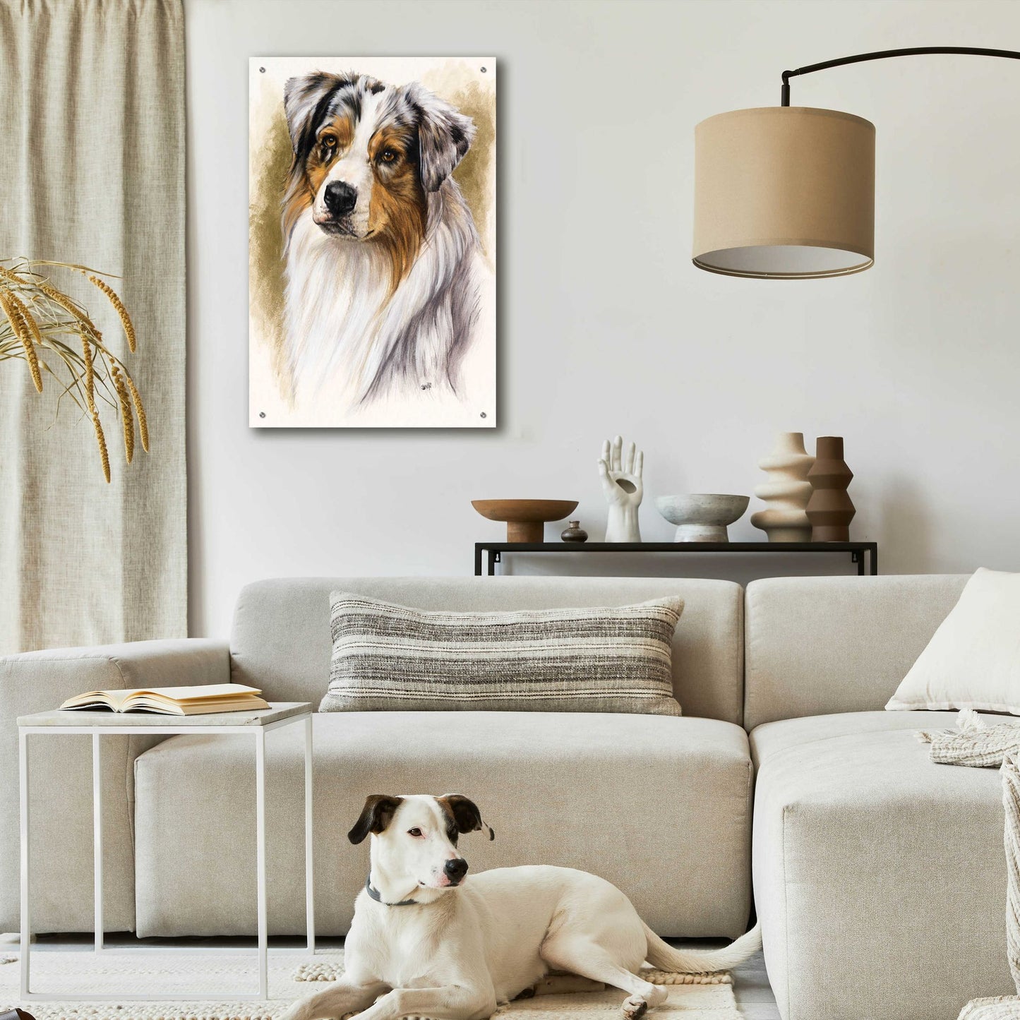 Epic Art 'Australian Shepherd' by Barbara Keith, Acrylic Glass Wall Art,24x36