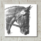 Opaque by Barbara Keith - 12x12 acrylic wall art in a room