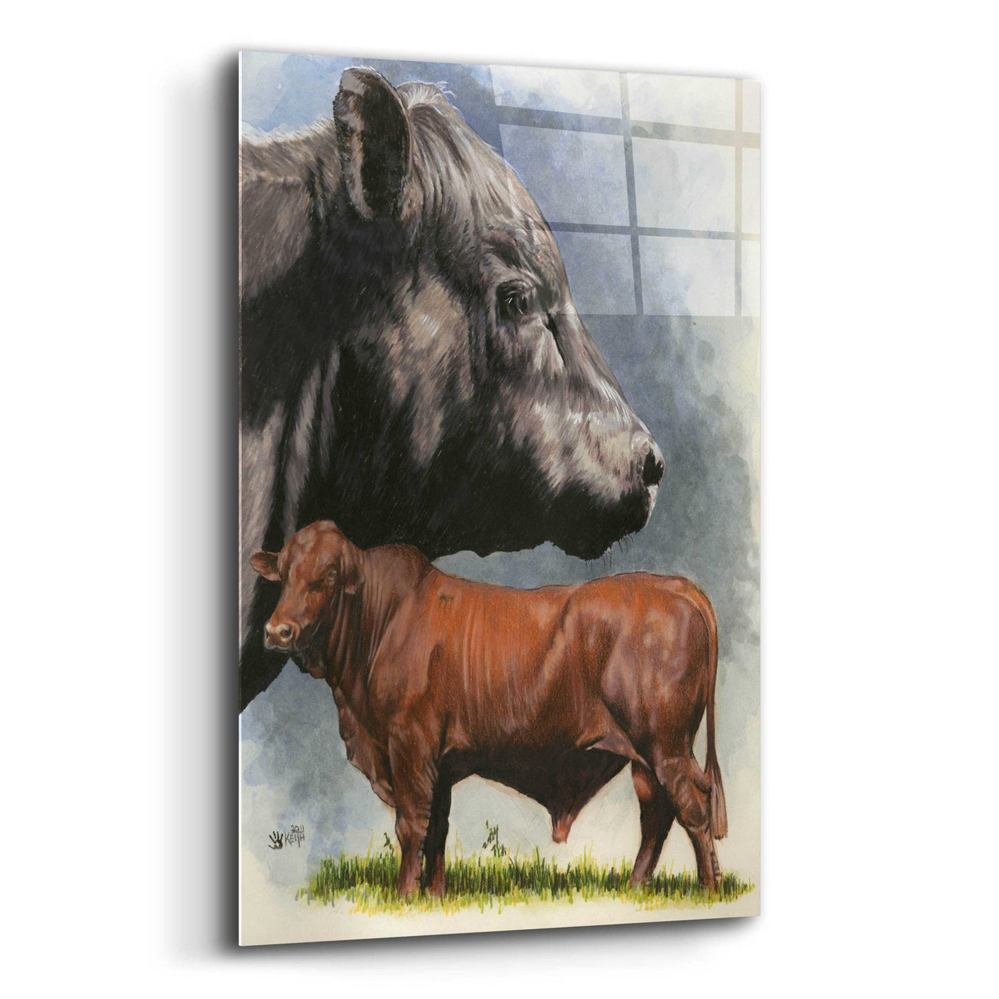 Epic Art 'Angus Cattle' by Barbara Keith, Acrylic Glass Wall Art,12x16