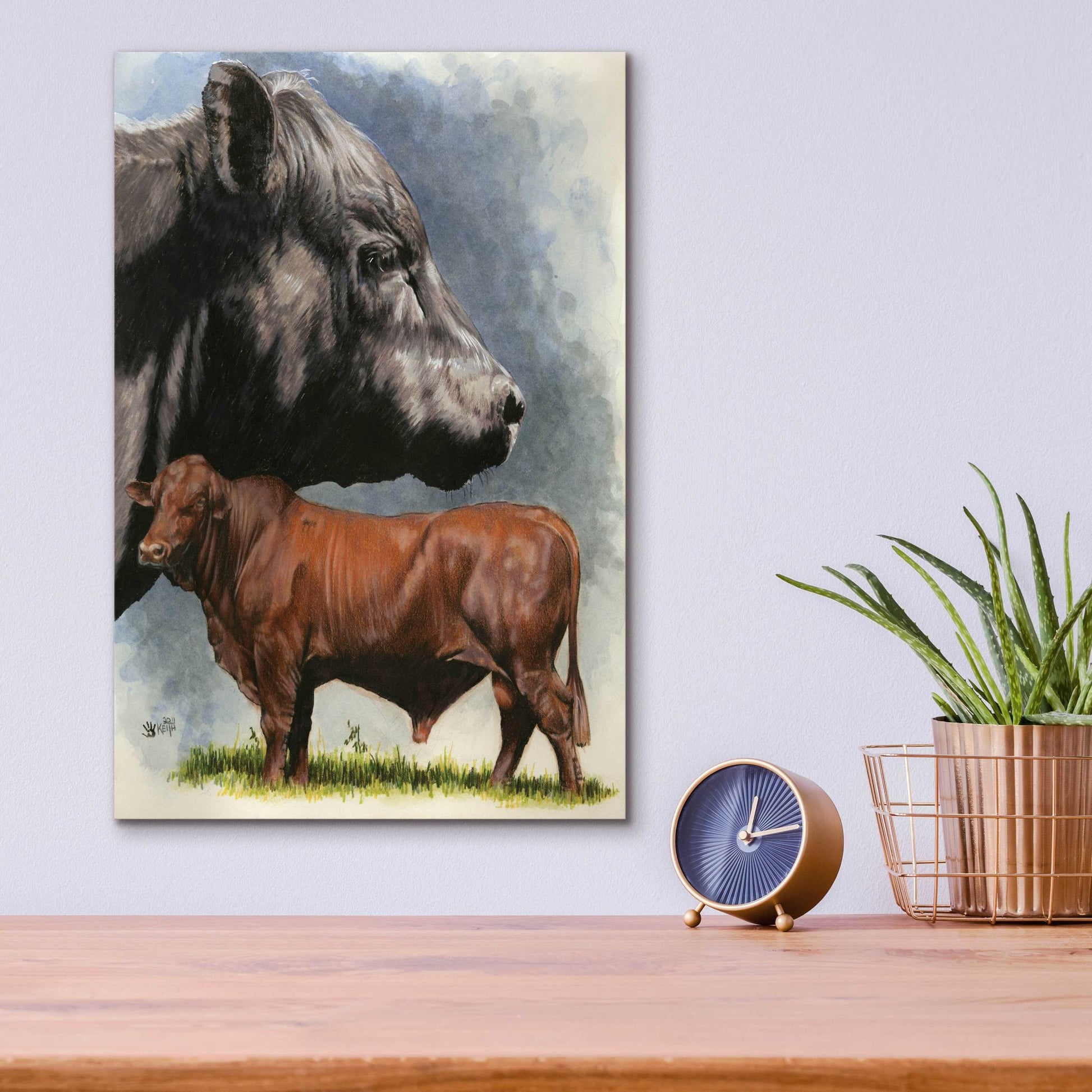 Epic Art 'Angus Cattle' by Barbara Keith, Acrylic Glass Wall Art,12x16