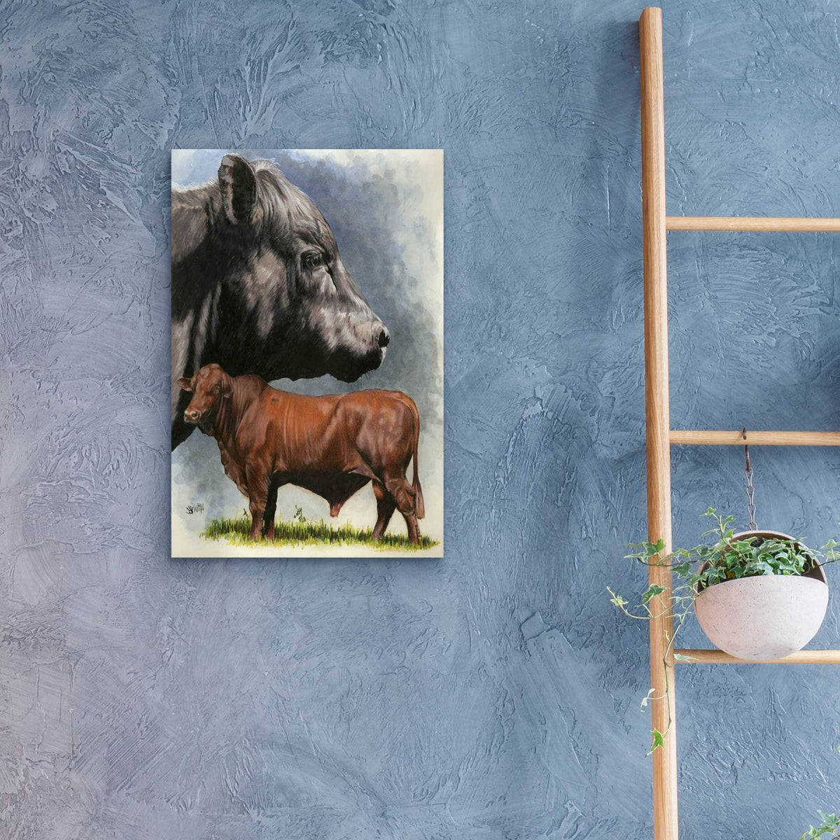 Angus Cattle by Barbara Keith - 16x24 acrylic wall art in a room