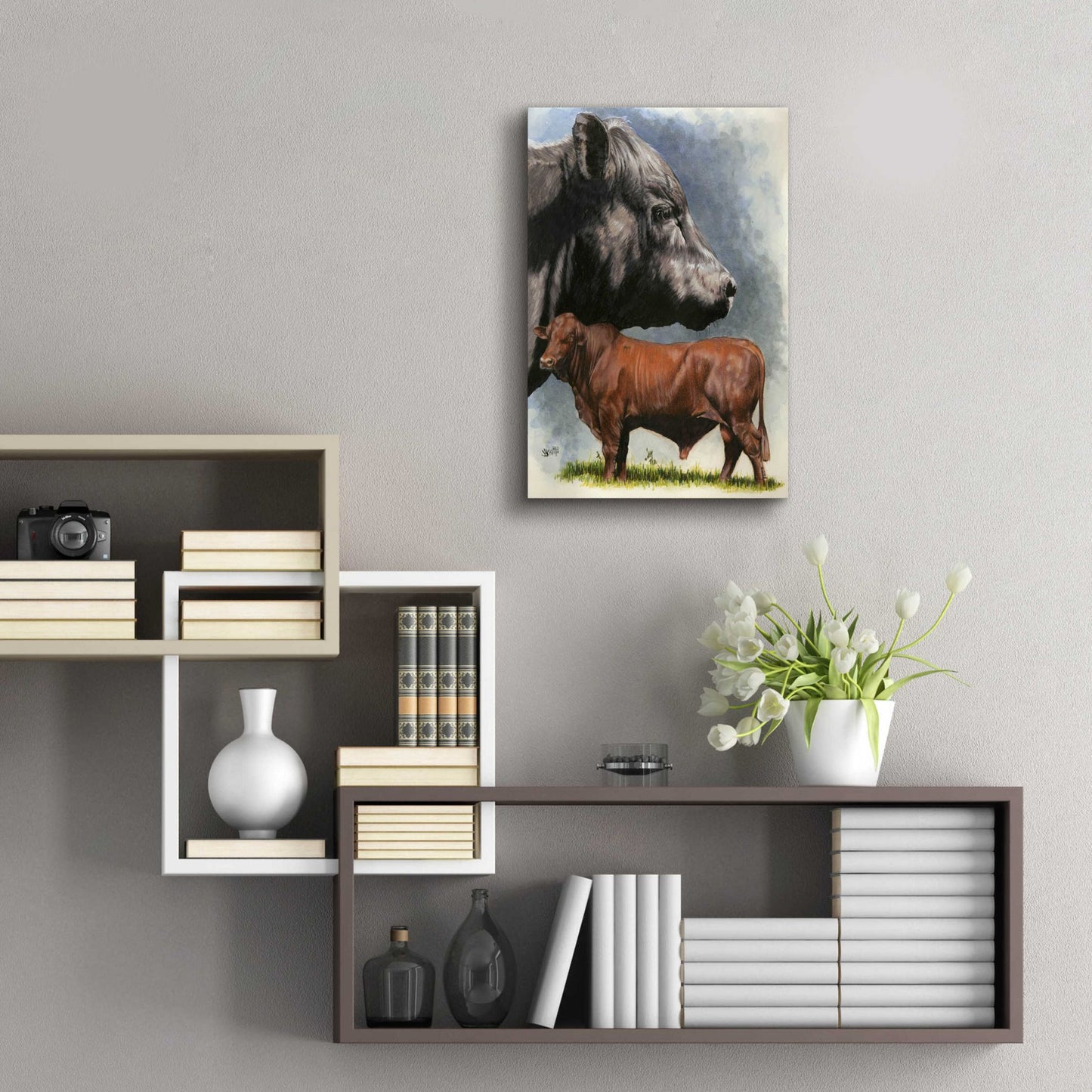 Epic Art 'Angus Cattle' by Barbara Keith, Acrylic Glass Wall Art,16x24