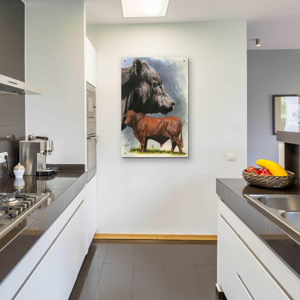 Angus Cattle by Barbara Keith - 24x36 acrylic wall art in a room