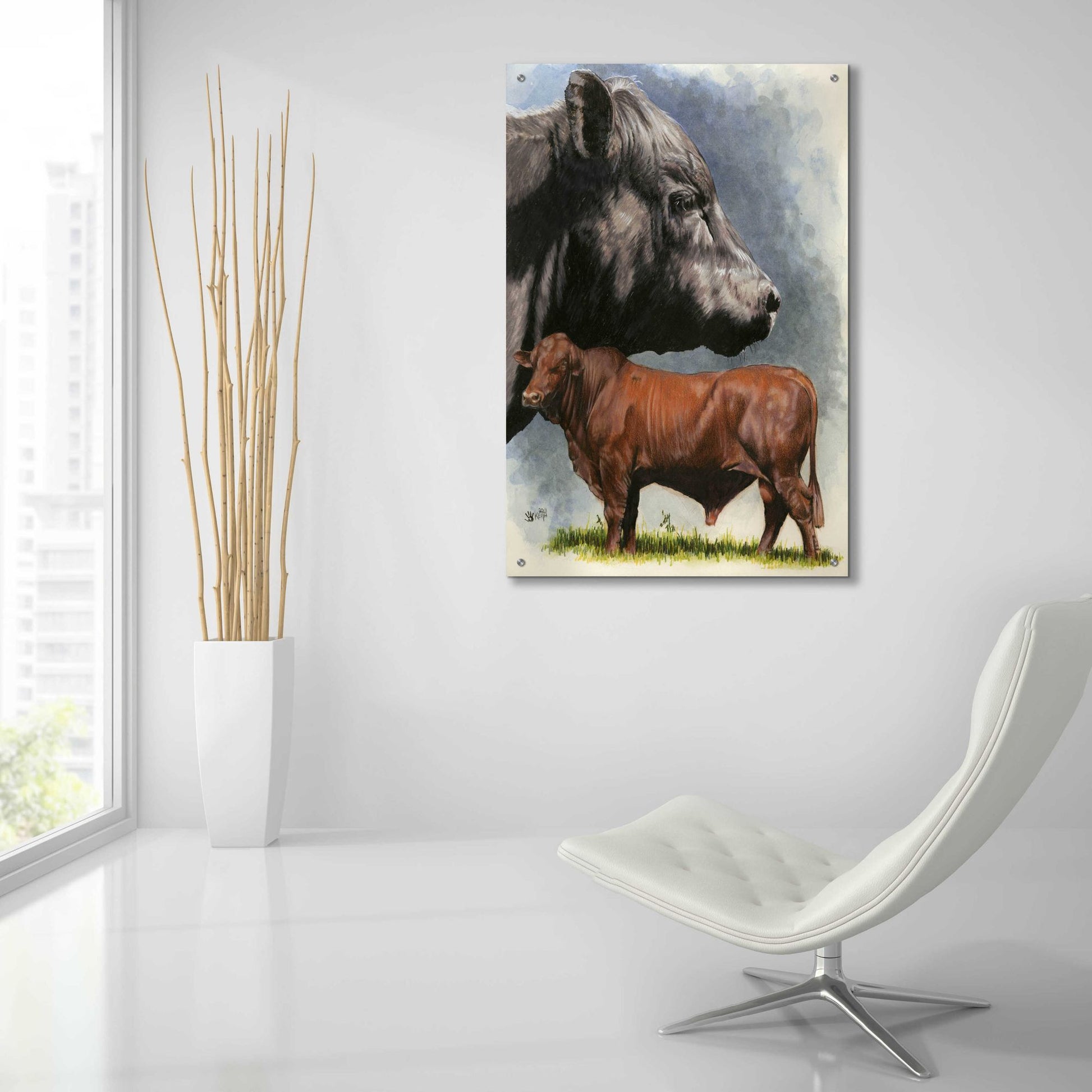 Epic Art 'Angus Cattle' by Barbara Keith, Acrylic Glass Wall Art,24x36