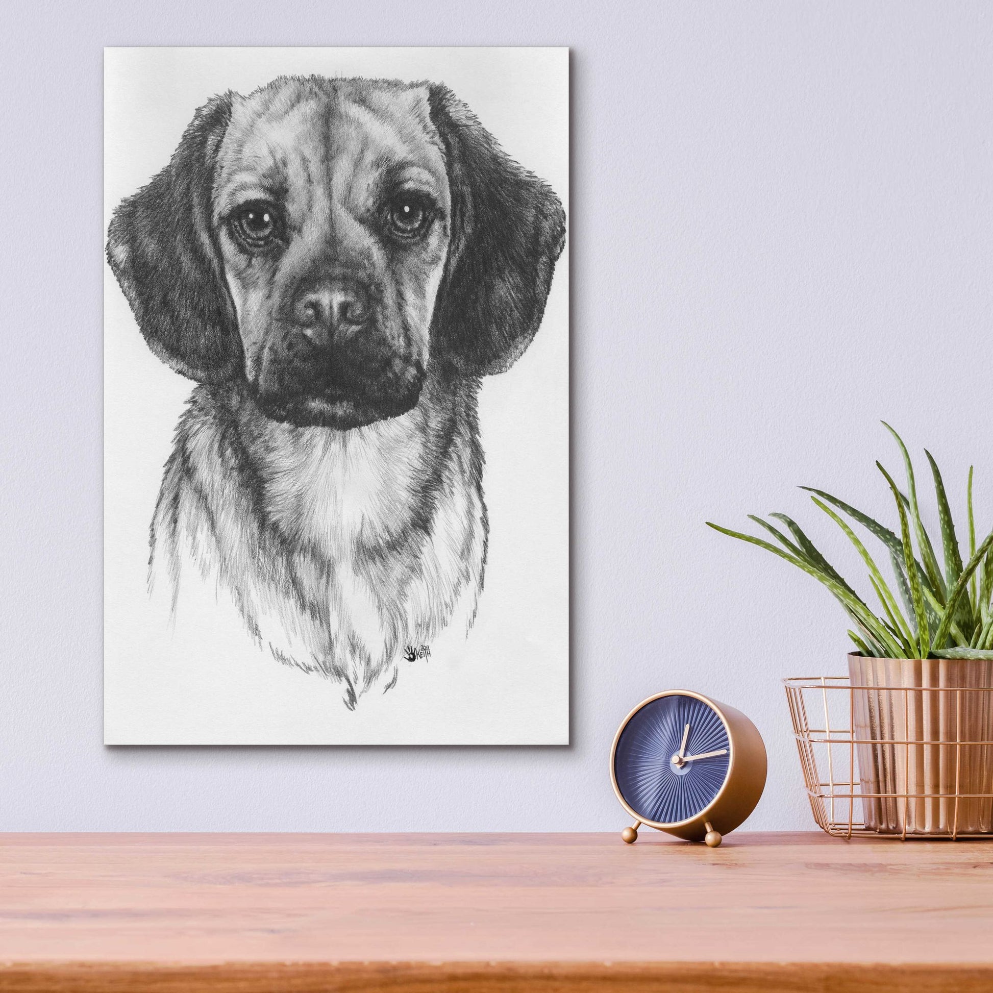 Epic Art 'Mr. Puggle' by Barbara Keith, Acrylic Glass Wall Art,12x16