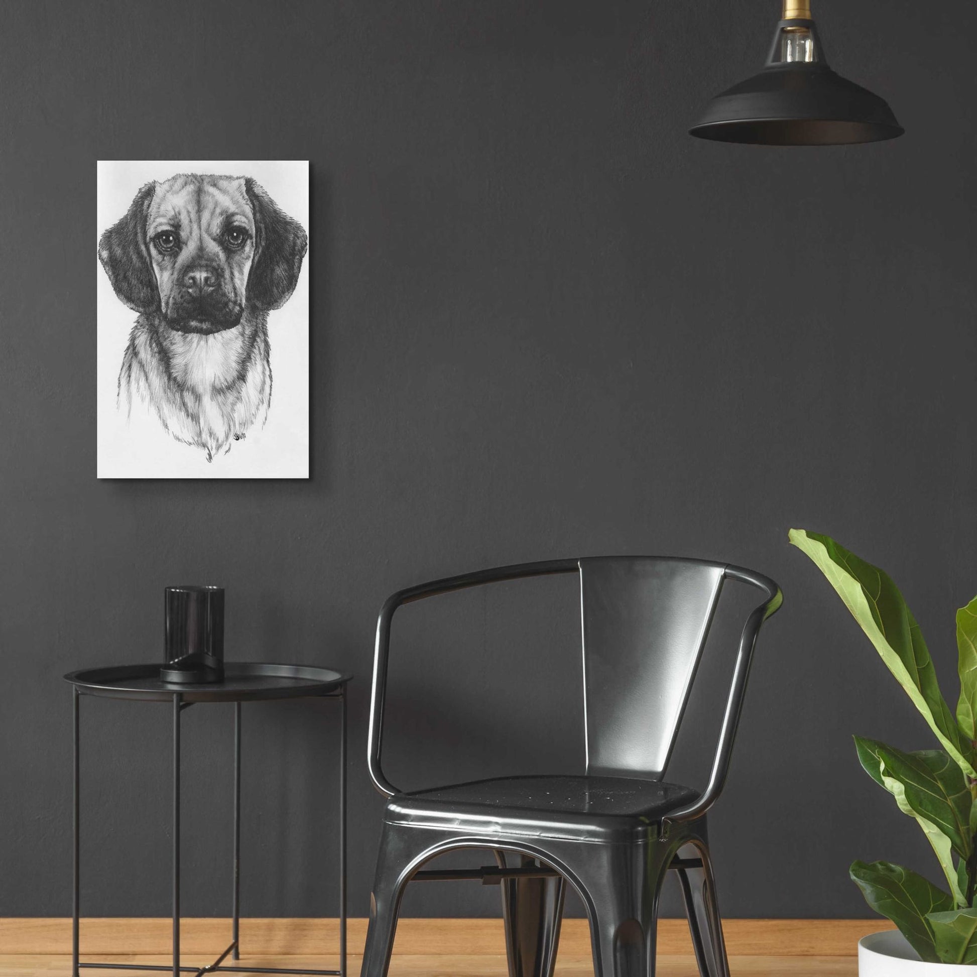 Epic Art 'Mr. Puggle' by Barbara Keith, Acrylic Glass Wall Art,16x24