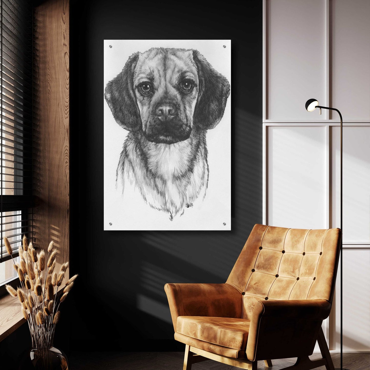 Epic Art 'Mr. Puggle' by Barbara Keith, Acrylic Glass Wall Art,24x36