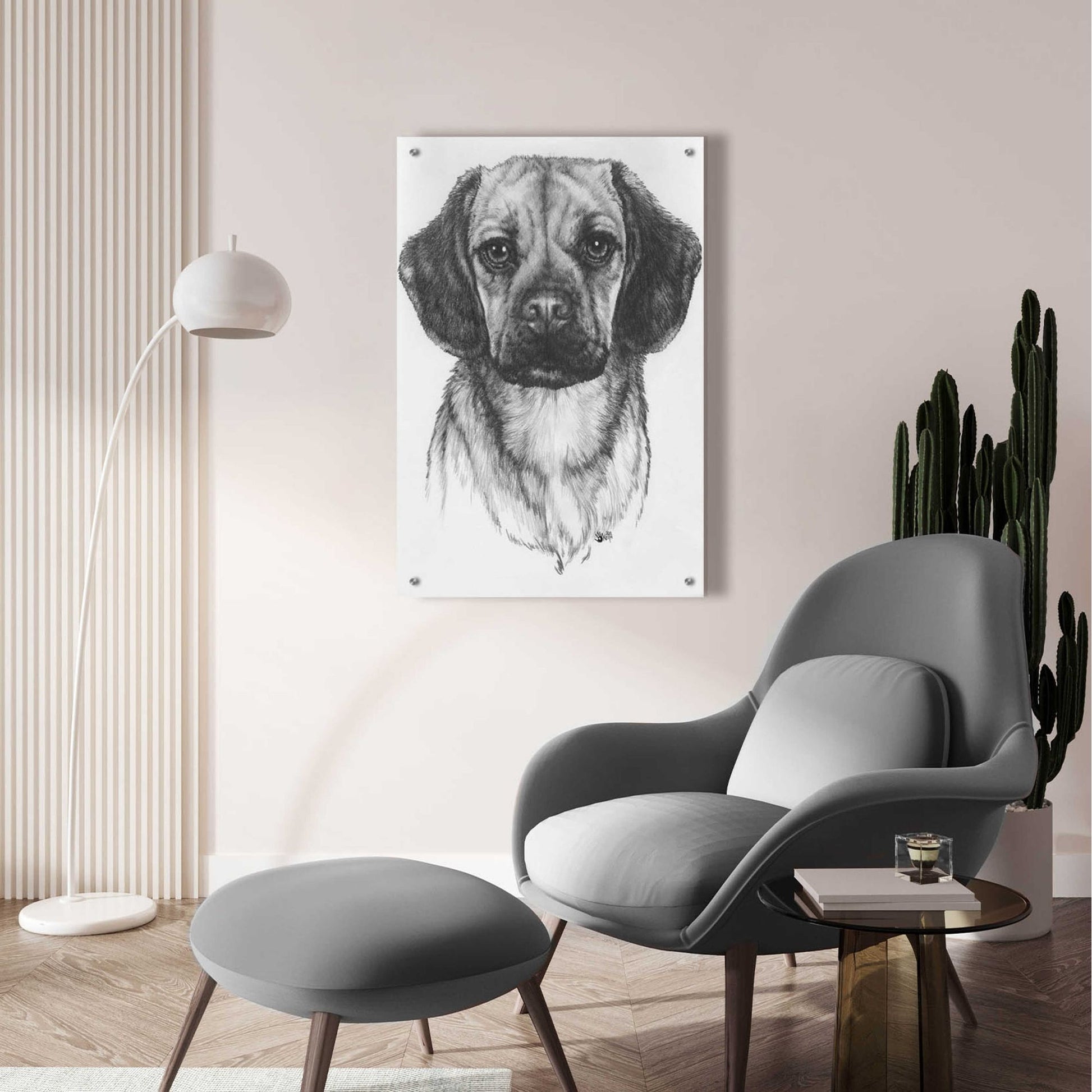 Epic Art 'Mr. Puggle' by Barbara Keith, Acrylic Glass Wall Art,24x36