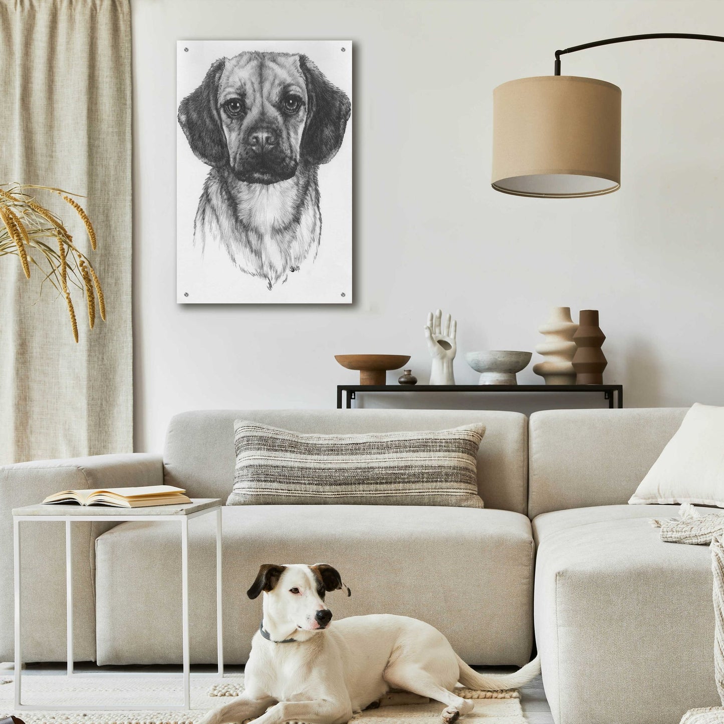 Epic Art 'Mr. Puggle' by Barbara Keith, Acrylic Glass Wall Art,24x36