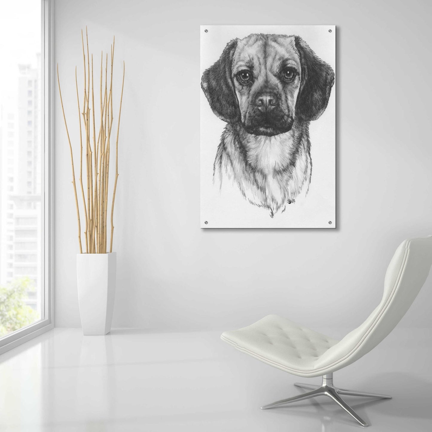 Epic Art 'Mr. Puggle' by Barbara Keith, Acrylic Glass Wall Art,24x36