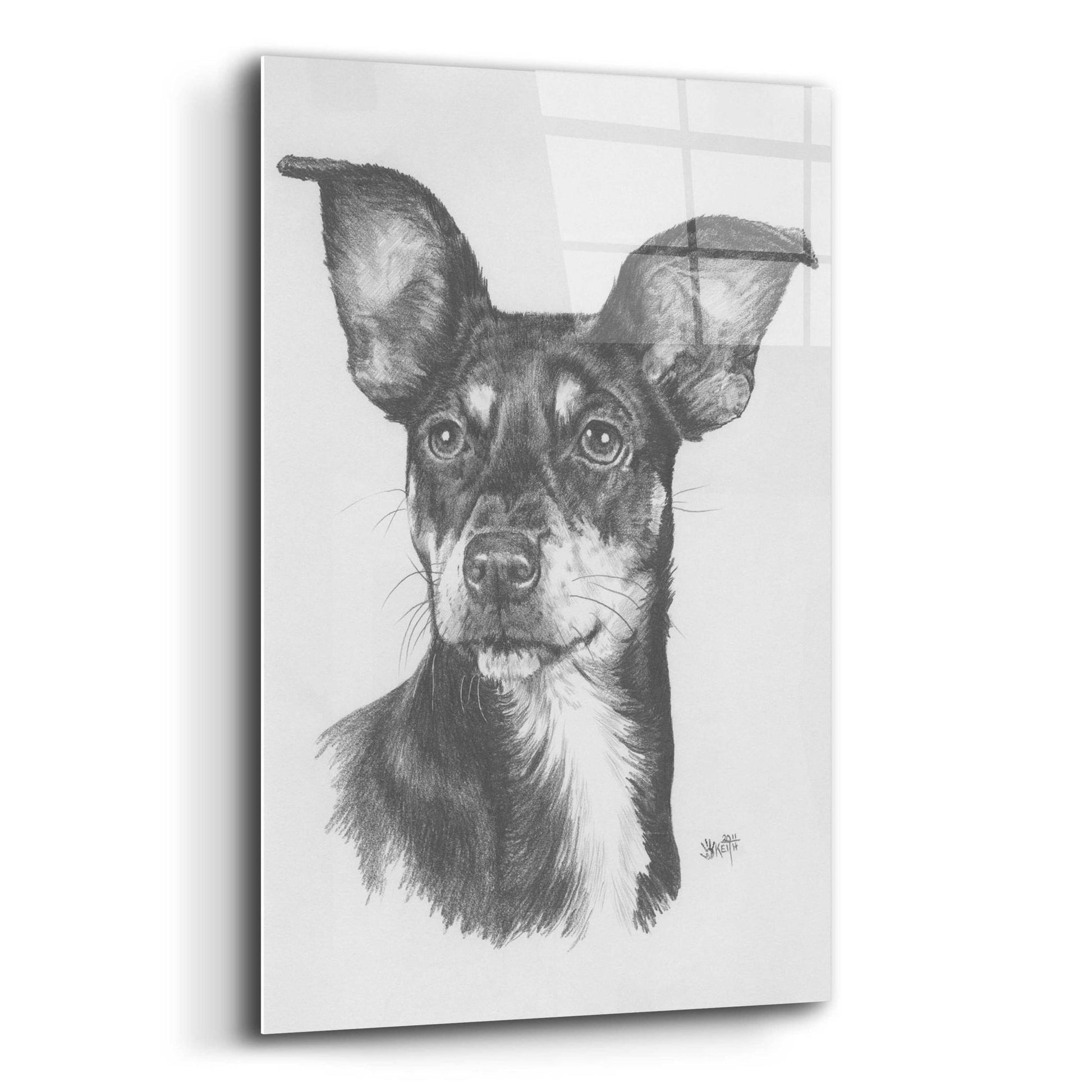 Epic Art 'Chiweenie' by Barbara Keith, Acrylic Glass Wall Art,12x16