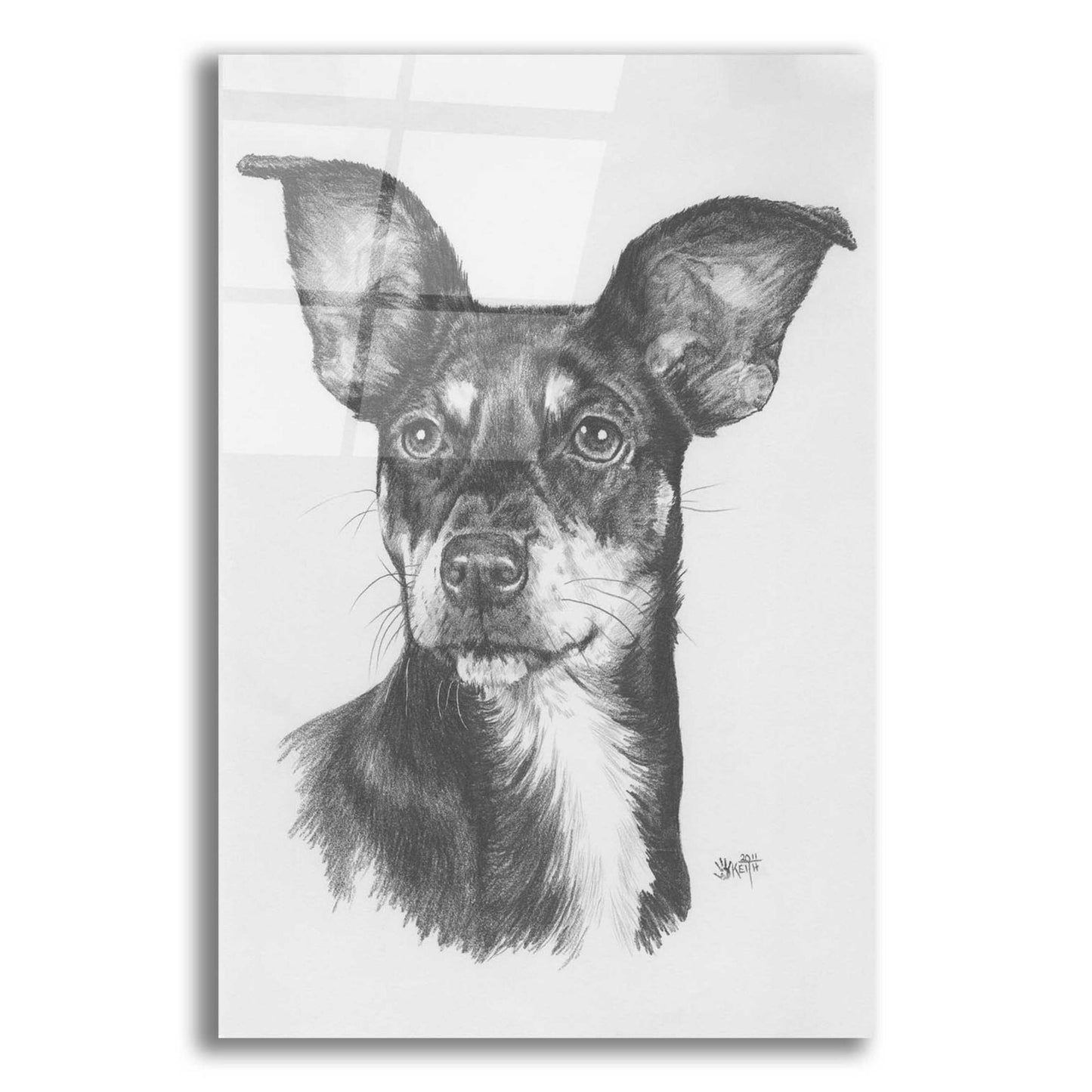 Epic Art 'Chiweenie' by Barbara Keith, Acrylic Glass Wall Art,12x16