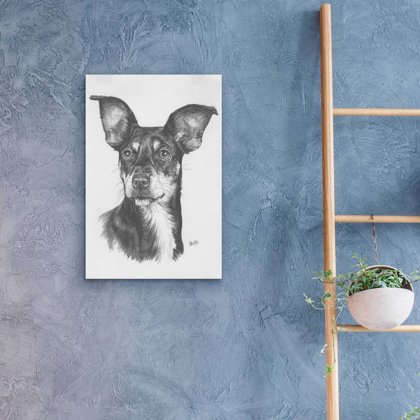 Epic Art 'Chiweenie' by Barbara Keith, Acrylic Glass Wall Art,16x24