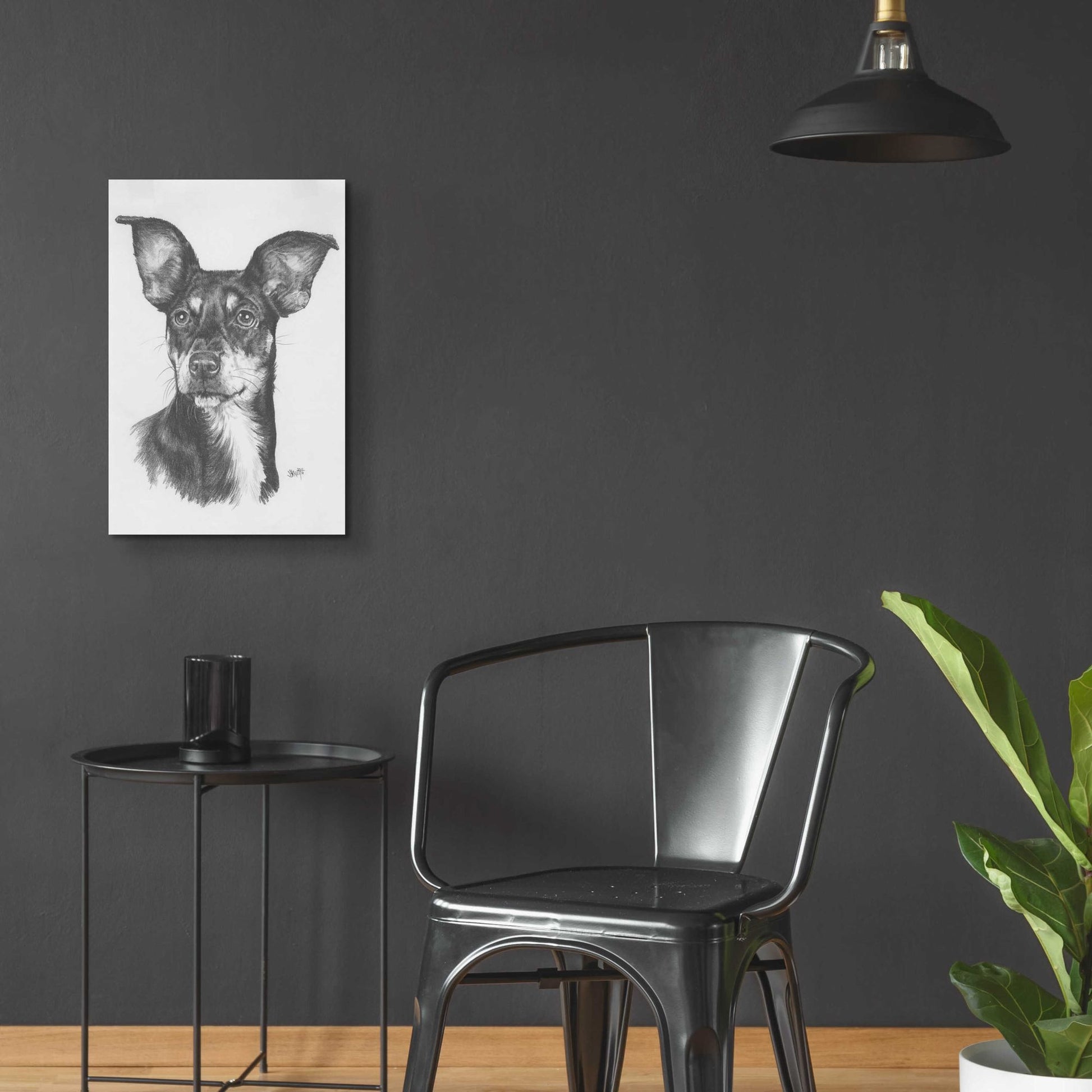 Epic Art 'Chiweenie' by Barbara Keith, Acrylic Glass Wall Art,16x24