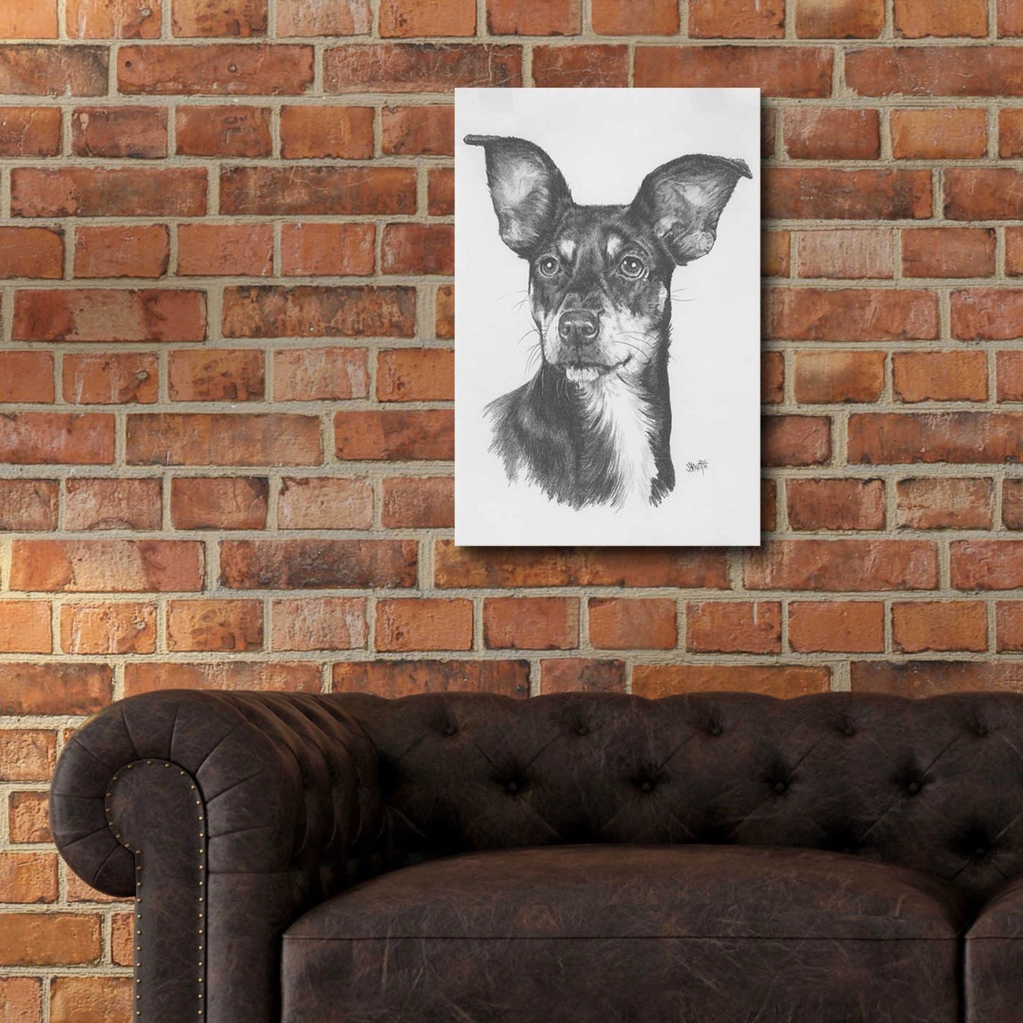 Epic Art 'Chiweenie' by Barbara Keith, Acrylic Glass Wall Art,16x24