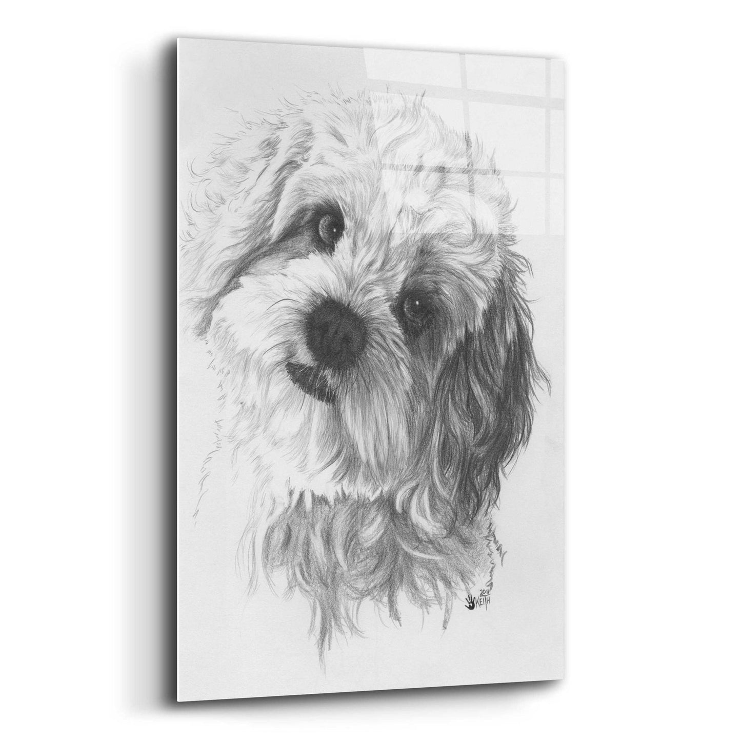 Epic Art 'Cavachon' by Barbara Keith, Acrylic Glass Wall Art,12x16