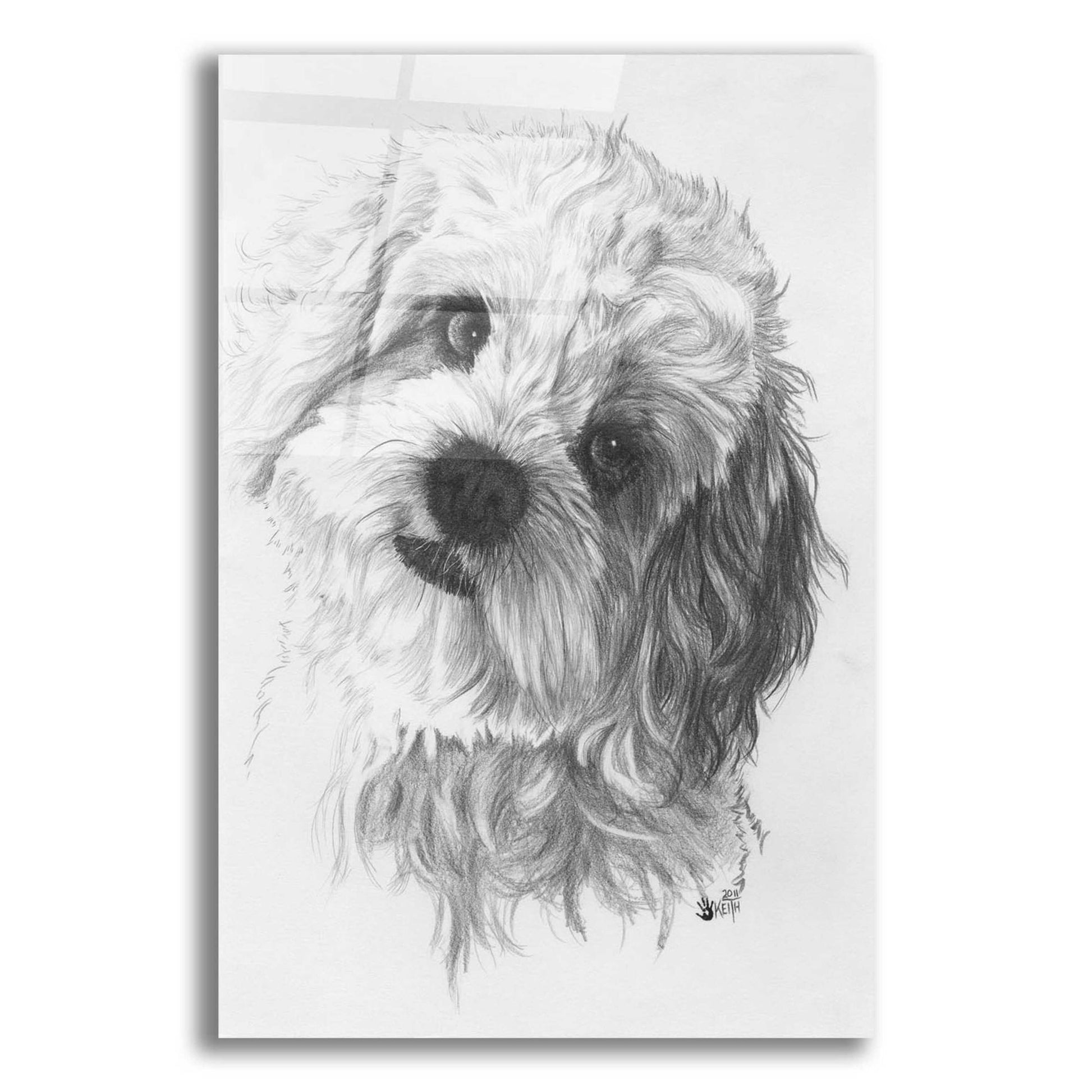 Epic Art 'Cavachon' by Barbara Keith, Acrylic Glass Wall Art,12x16