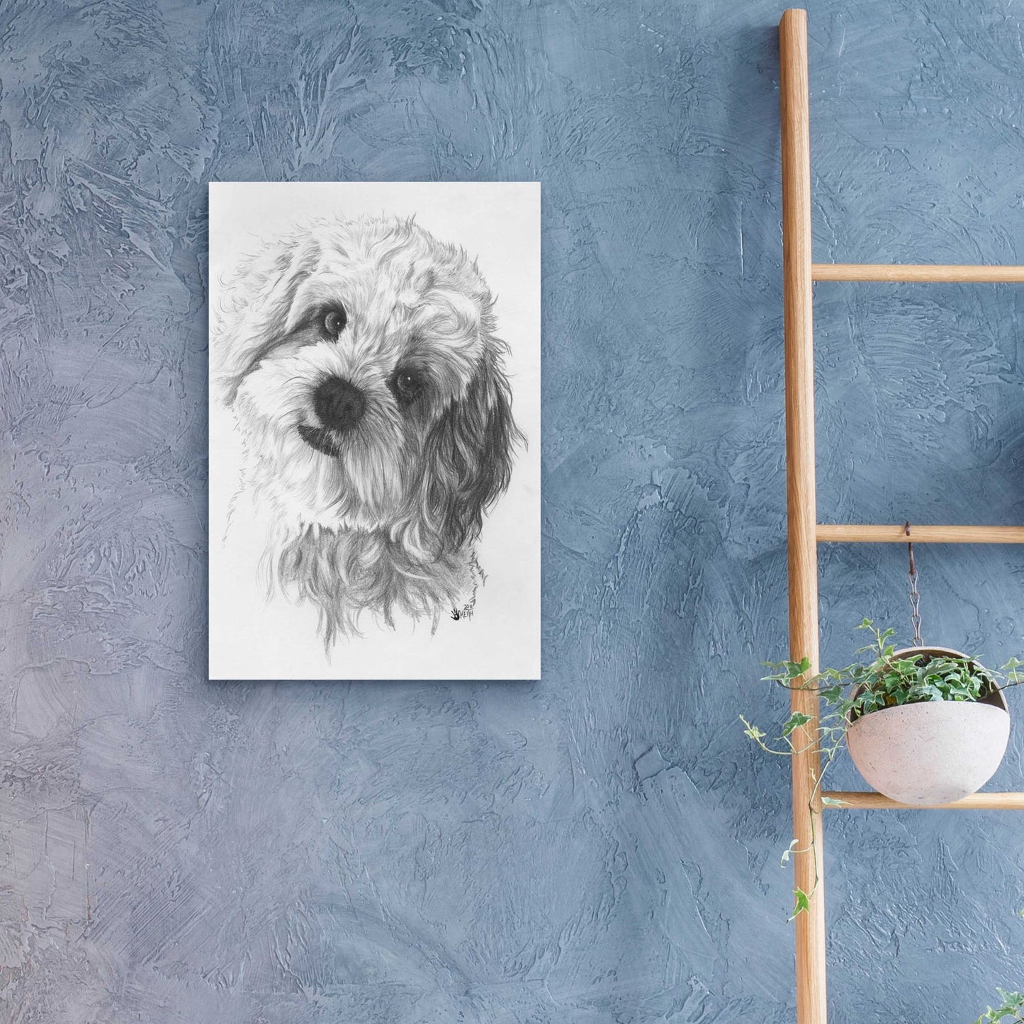 Epic Art 'Cavachon' by Barbara Keith, Acrylic Glass Wall Art,16x24