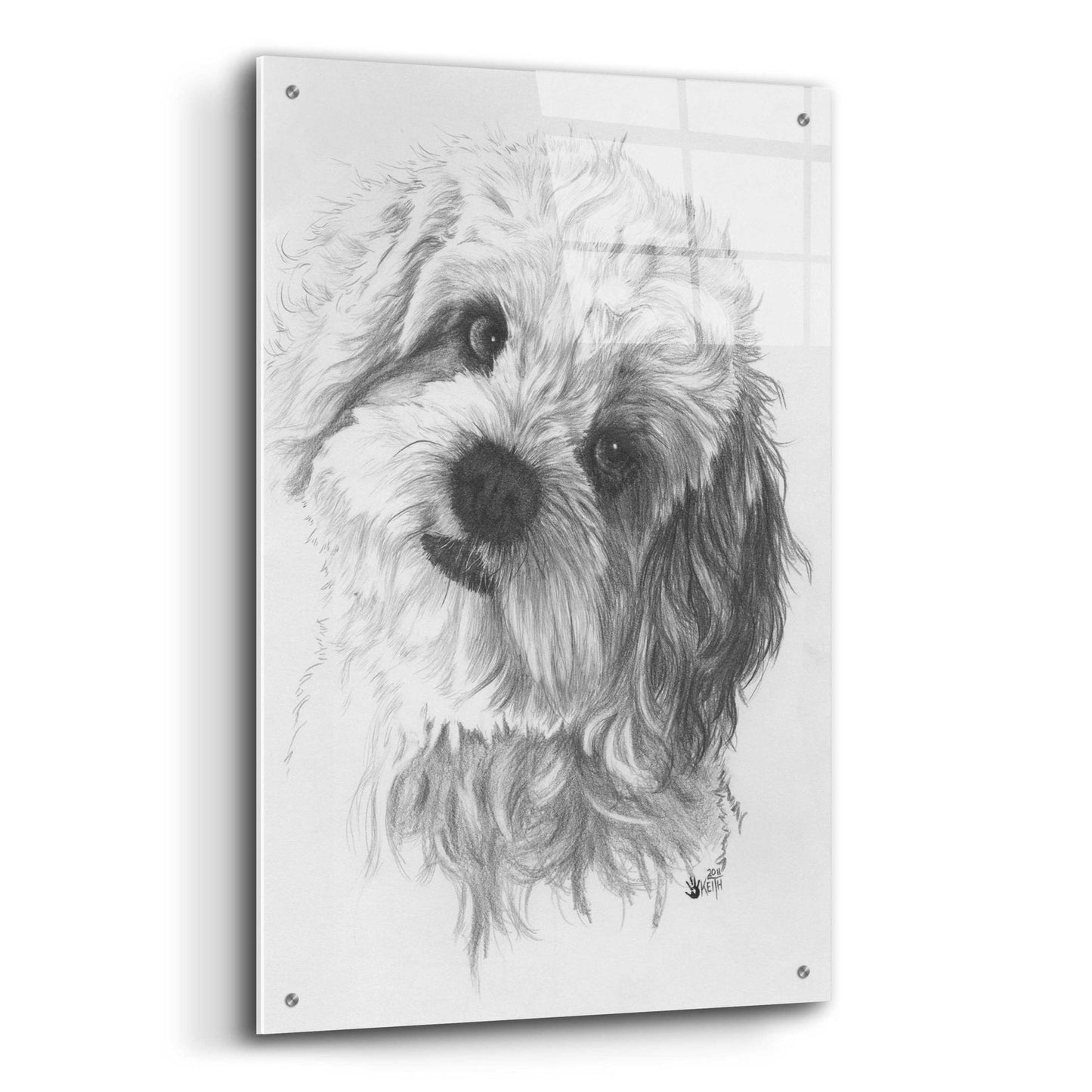 Epic Art 'Cavachon' by Barbara Keith, Acrylic Glass Wall Art,24x36