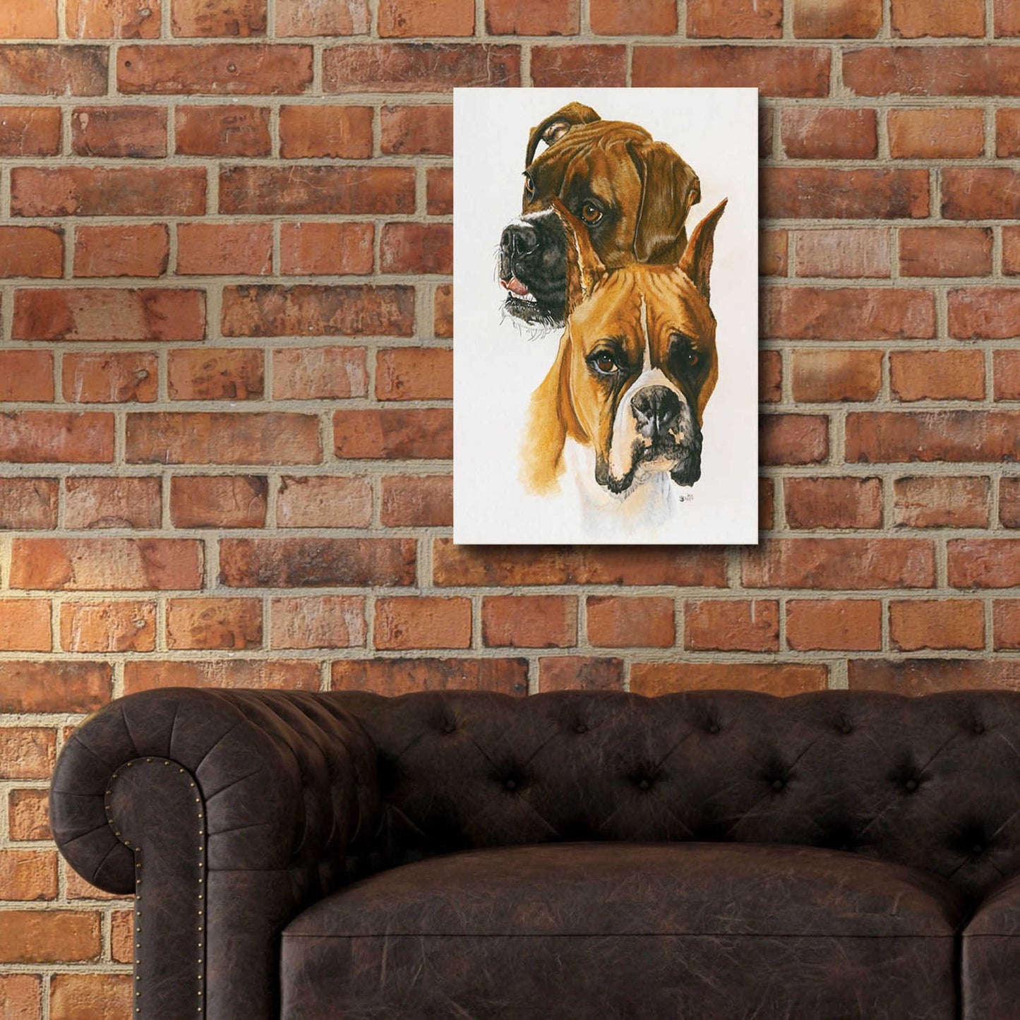 Epic Art 'Boxer' by Barbara Keith, Acrylic Glass Wall Art,16x24