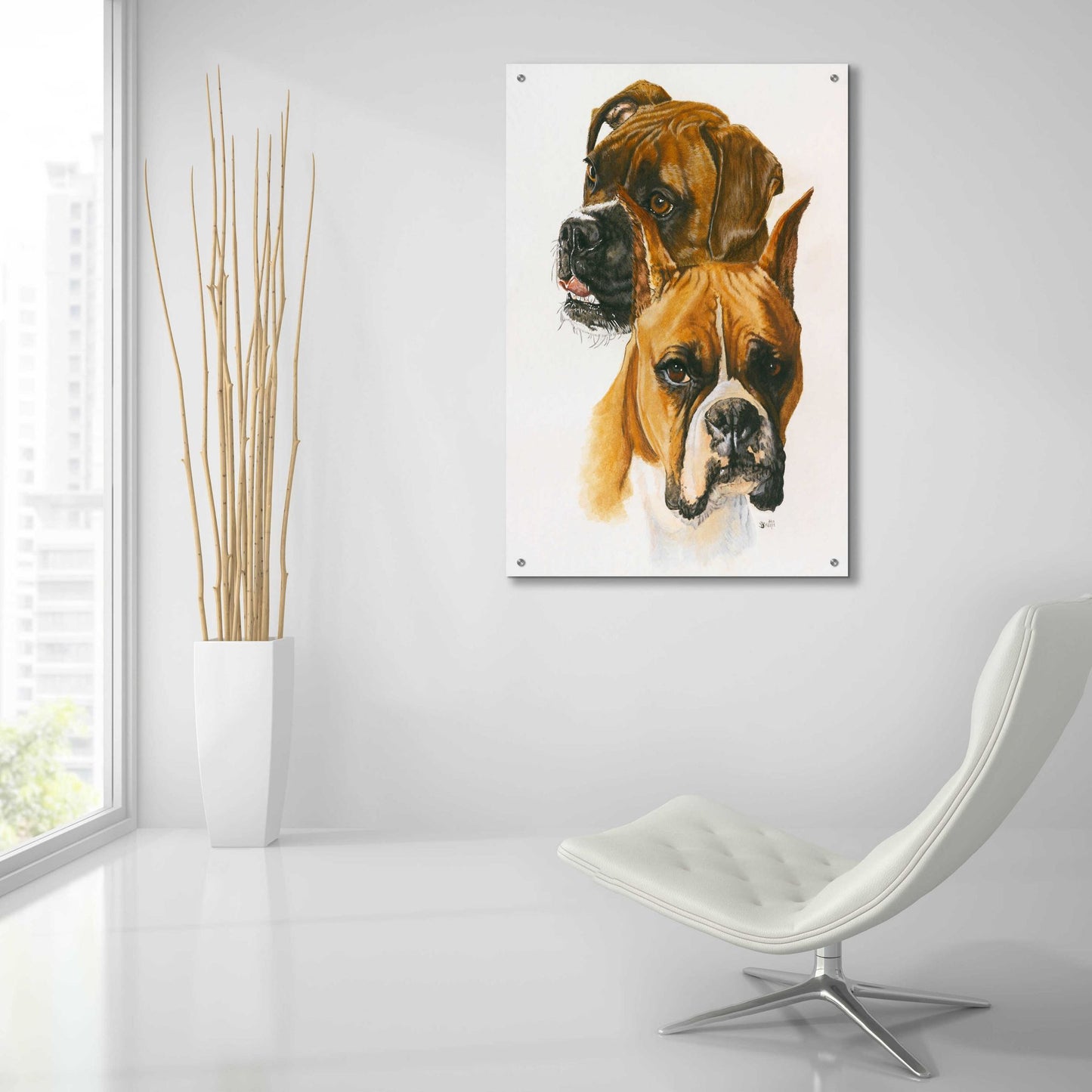 Epic Art 'Boxer' by Barbara Keith, Acrylic Glass Wall Art,24x36