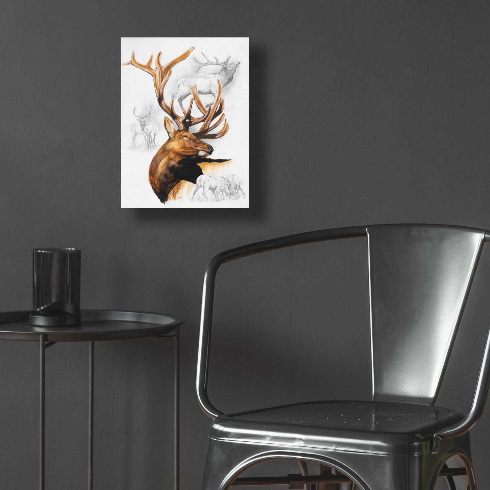 Epic Art 'Elk' by Barbara Keith, Acrylic Glass Wall Art,12x16