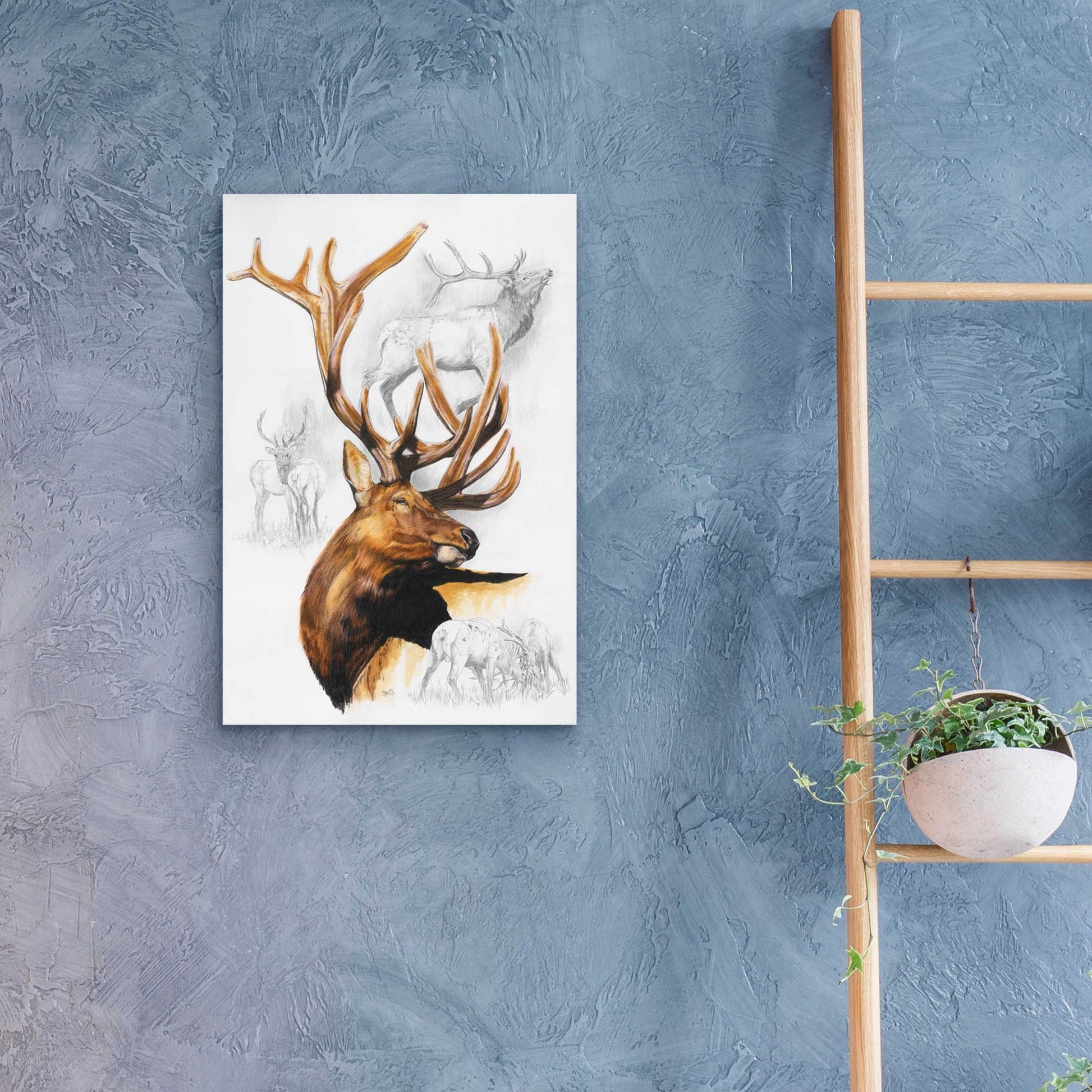 Epic Art 'Elk' by Barbara Keith, Acrylic Glass Wall Art,16x24