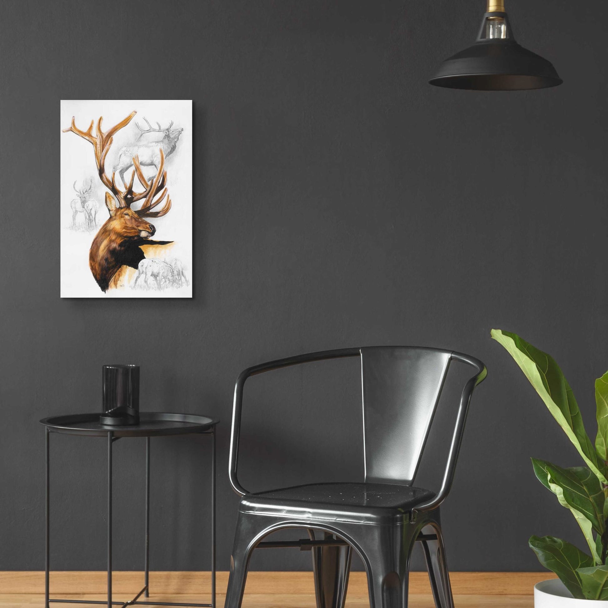 Epic Art 'Elk' by Barbara Keith, Acrylic Glass Wall Art,16x24