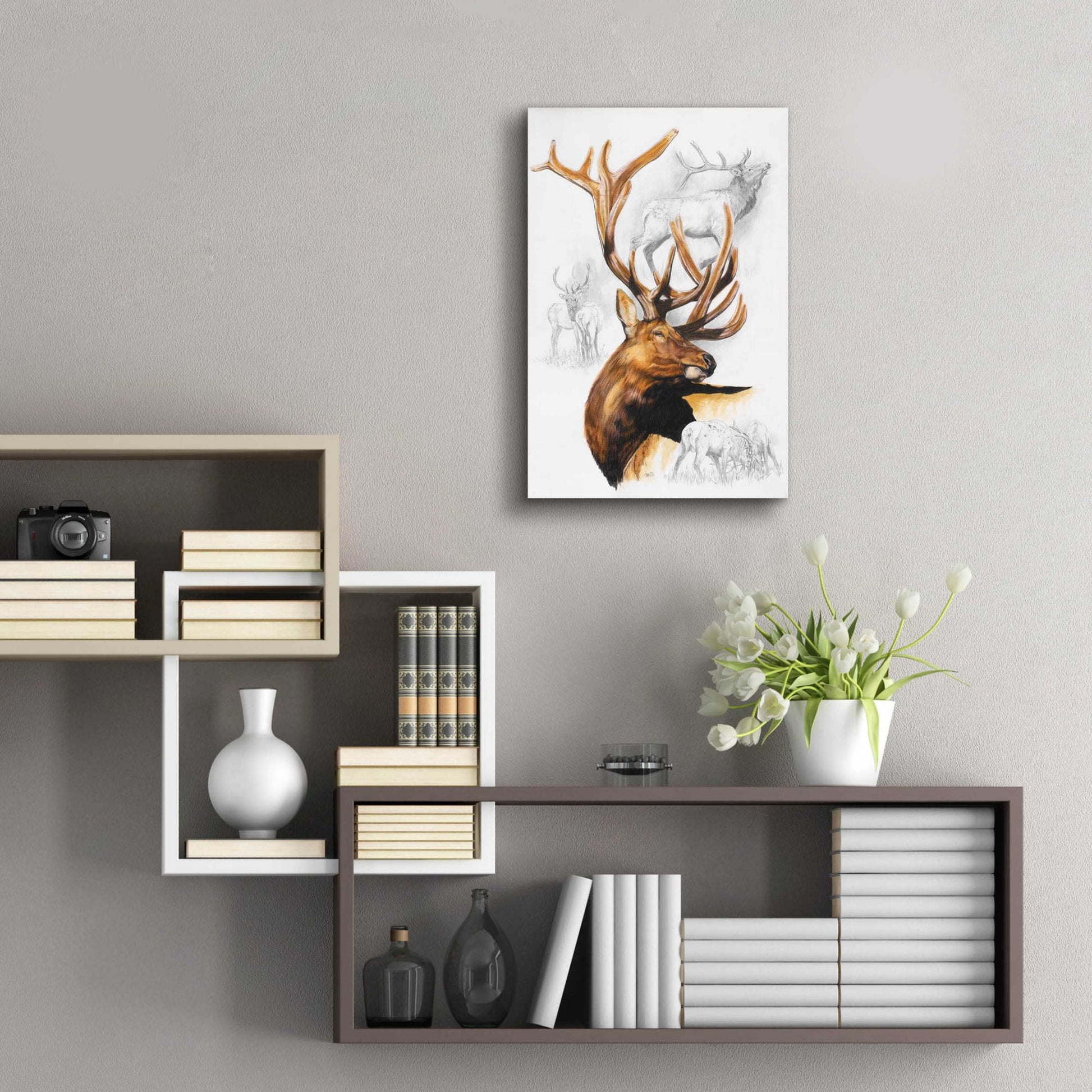 Epic Art 'Elk' by Barbara Keith, Acrylic Glass Wall Art,16x24