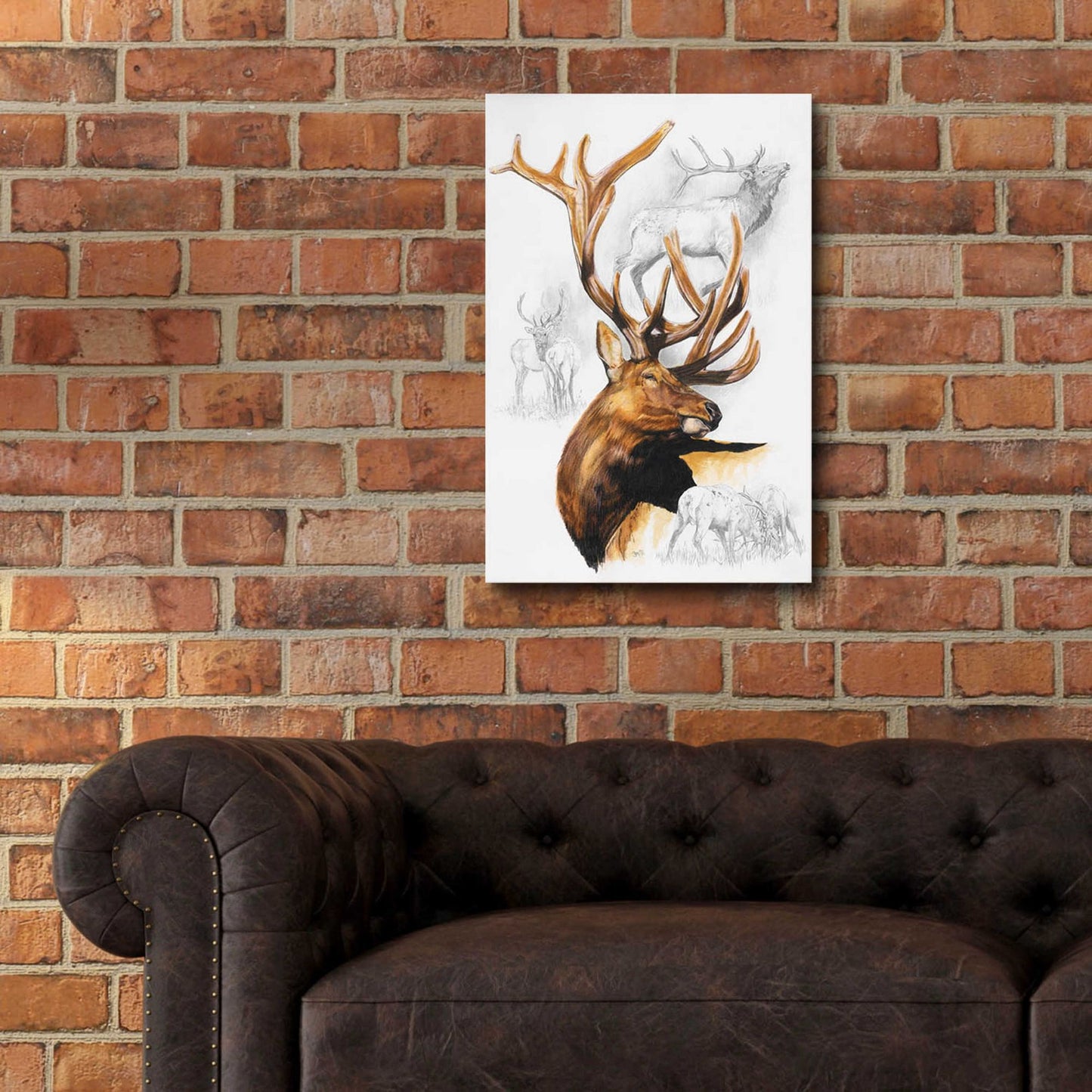 Epic Art 'Elk' by Barbara Keith, Acrylic Glass Wall Art,16x24