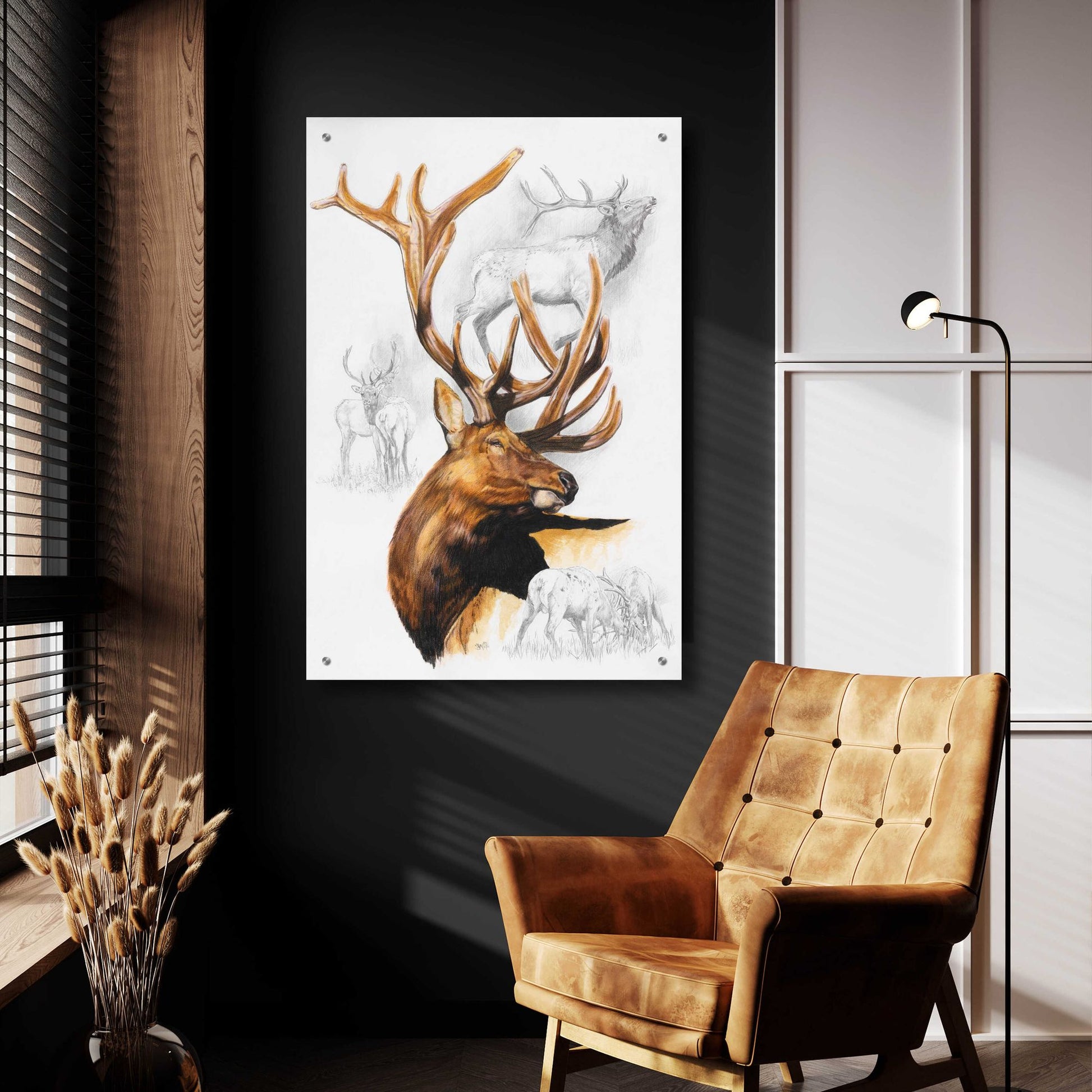 Epic Art 'Elk' by Barbara Keith, Acrylic Glass Wall Art,24x36