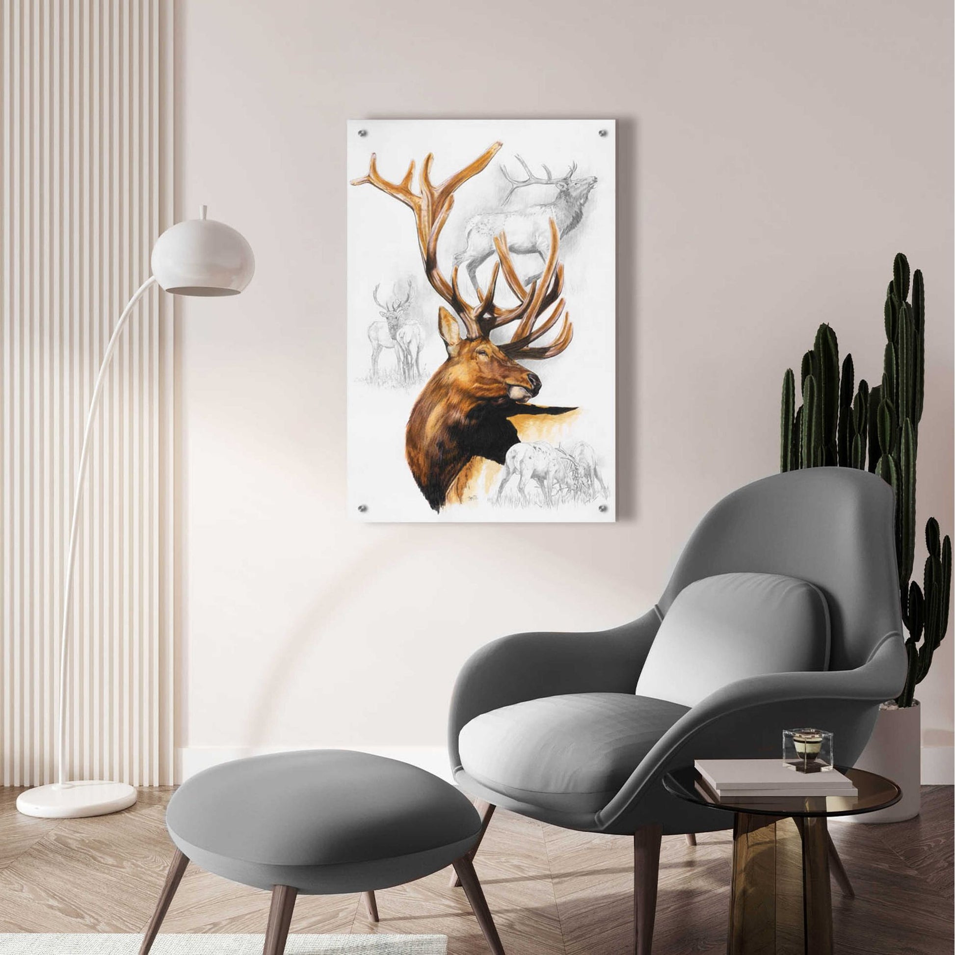 Epic Art 'Elk' by Barbara Keith, Acrylic Glass Wall Art,24x36