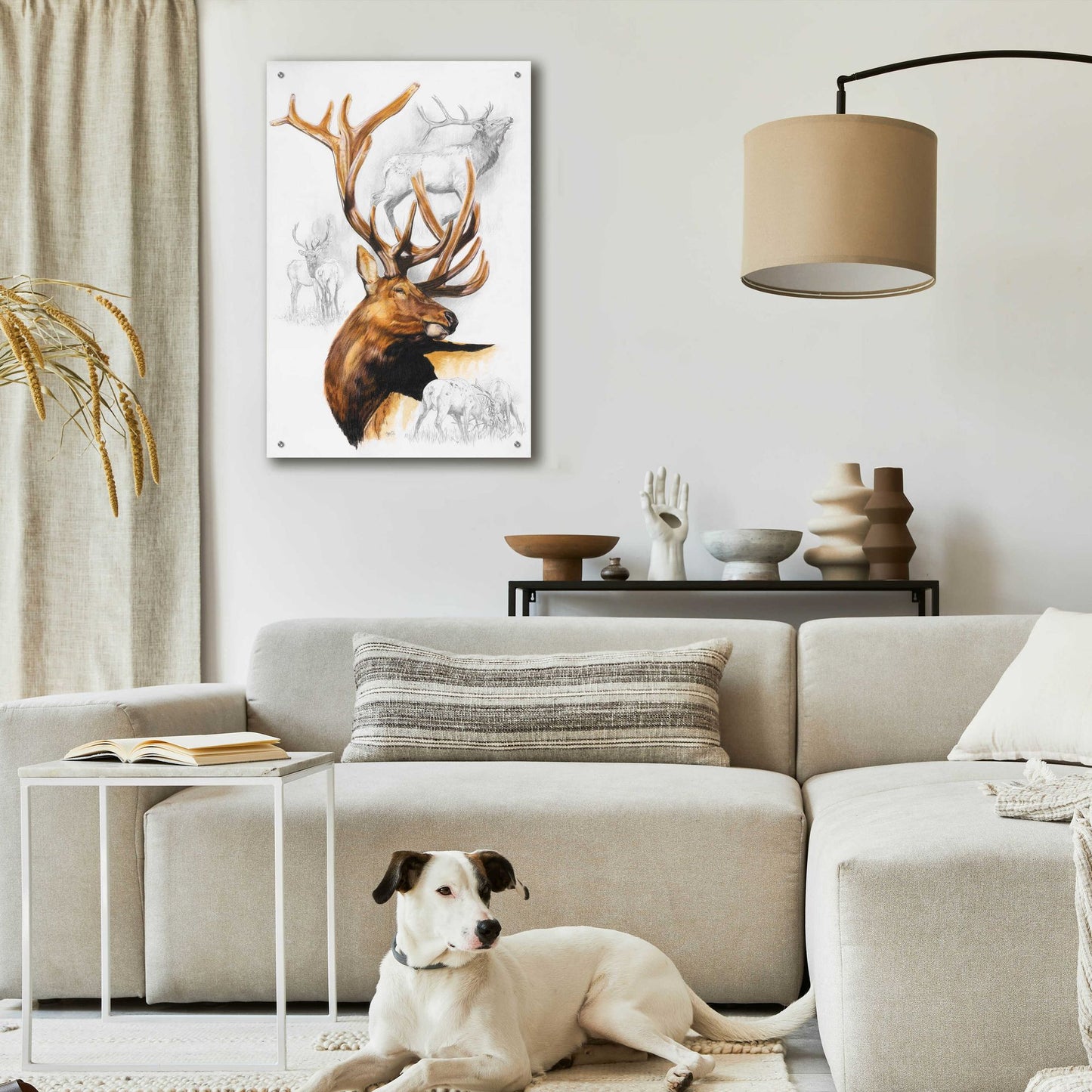 Epic Art 'Elk' by Barbara Keith, Acrylic Glass Wall Art,24x36