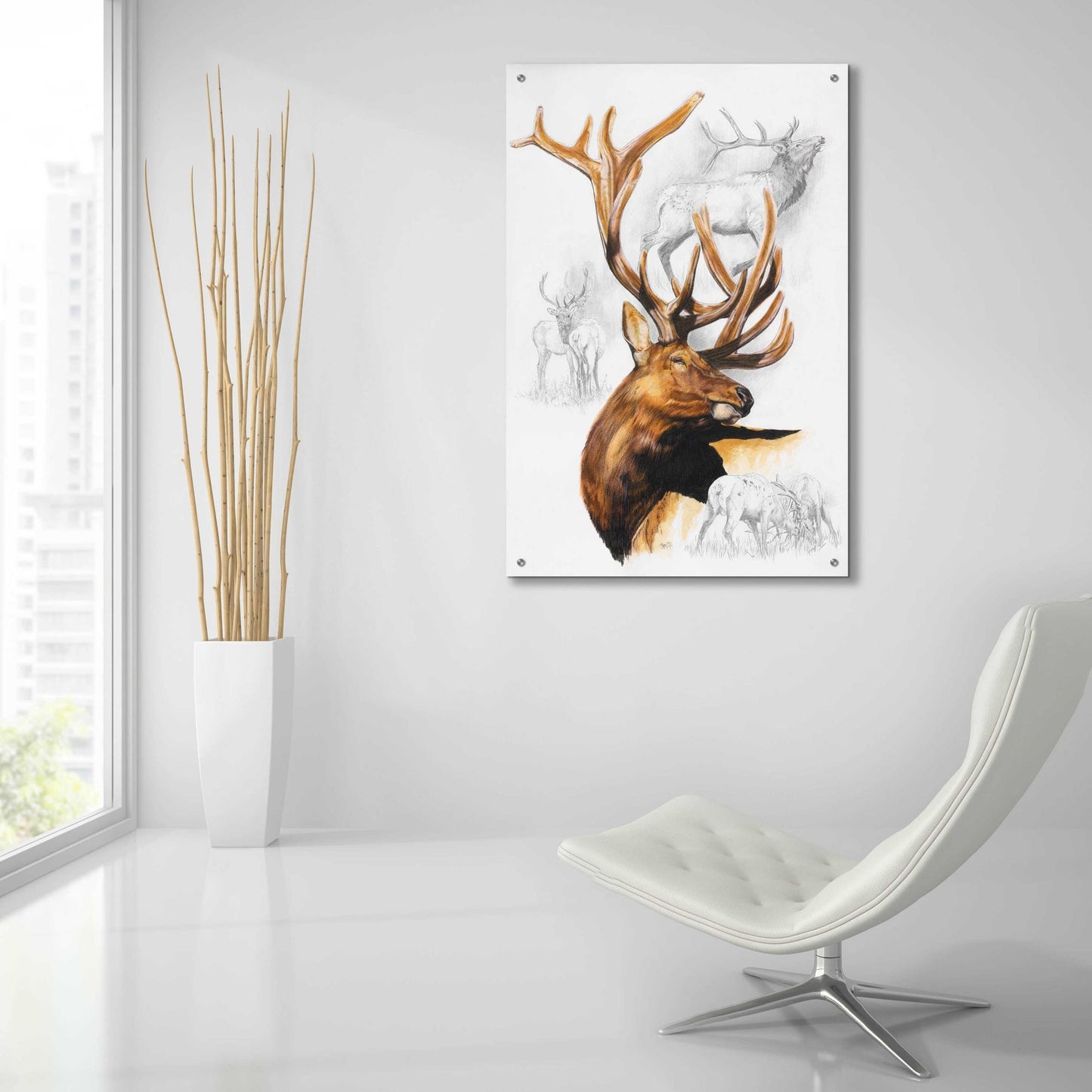 Epic Art 'Elk' by Barbara Keith, Acrylic Glass Wall Art,24x36