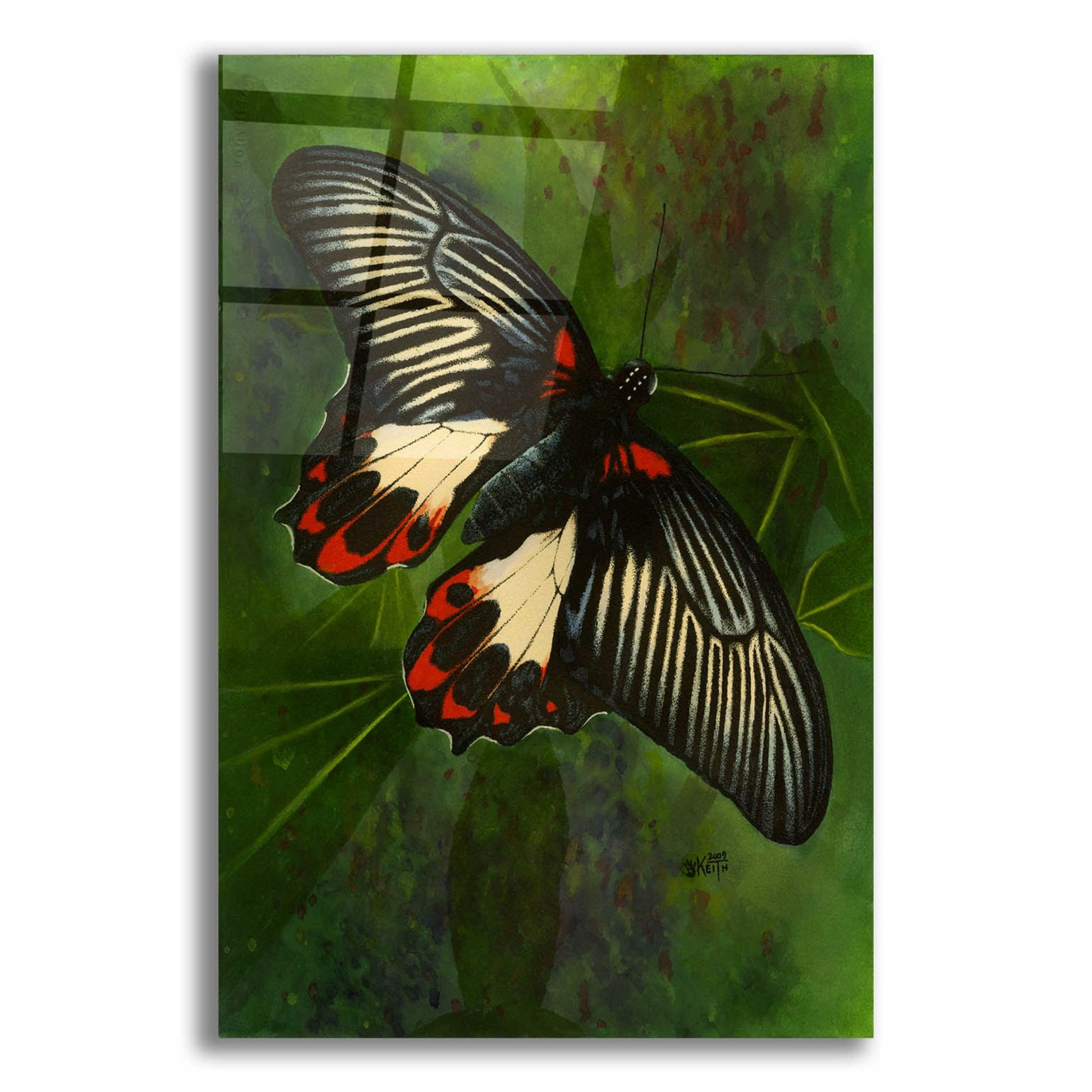 Epic Art 'Simplicity' by Barbara Keith, Acrylic Glass Wall Art