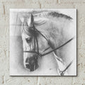 Ethereal by Barbara Keith - 12x12 acrylic wall art in a room