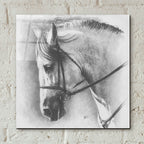 Ethereal by Barbara Keith - 12x12 acrylic wall art in a room