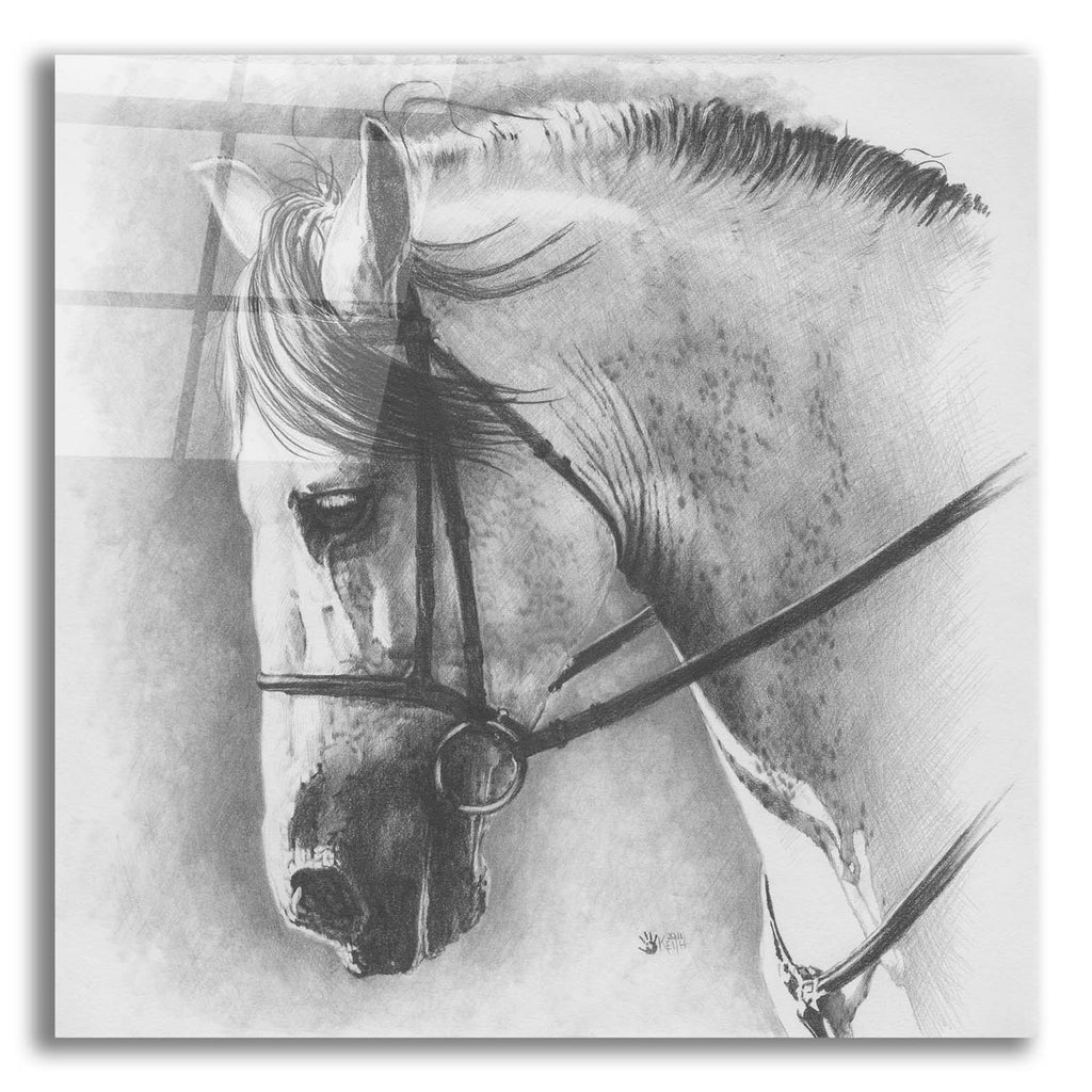 Ethereal by Barbara Keith acrylic glass wall art