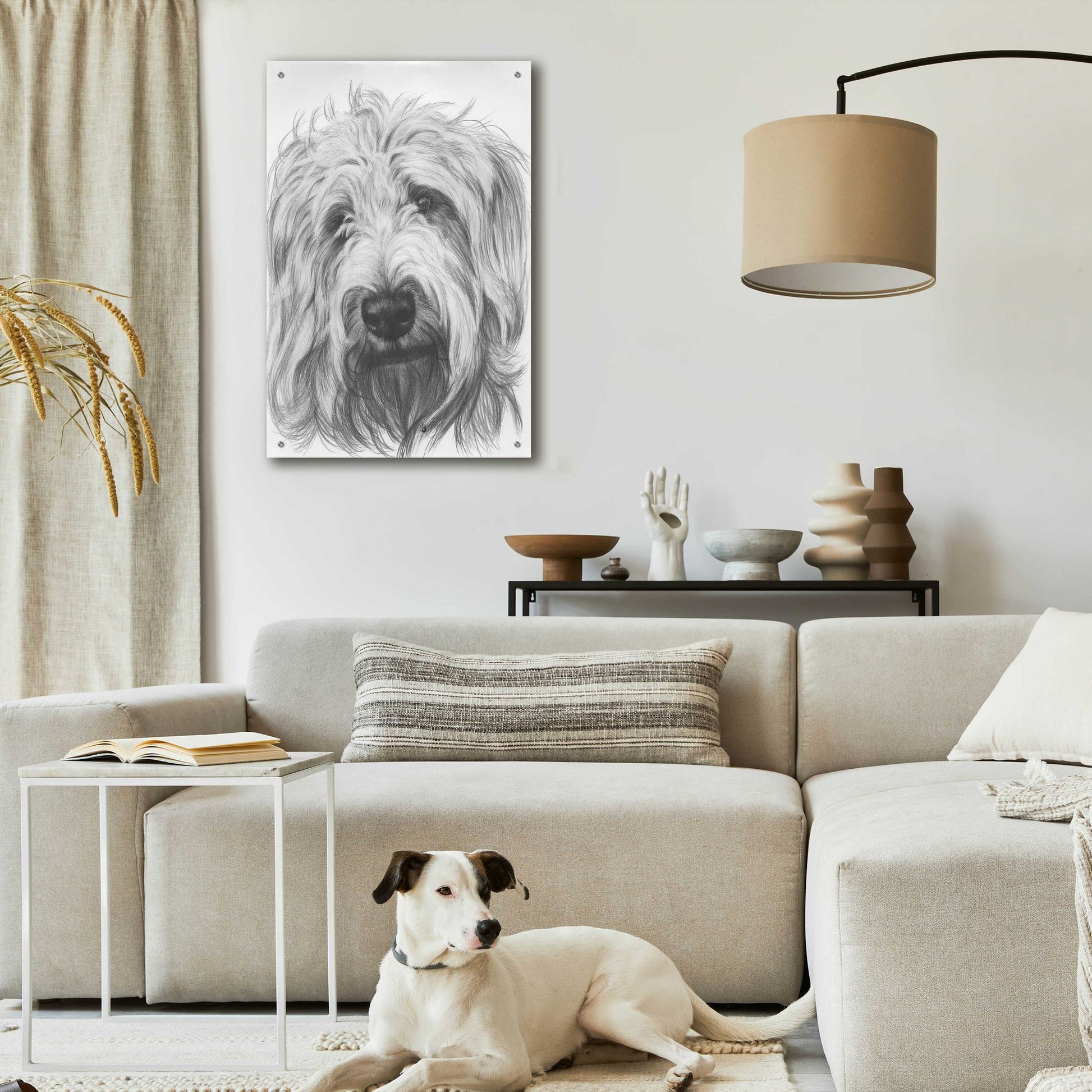 Epic Art 'Labradootle' by Barbara Keith, Acrylic Glass Wall Art,24x36