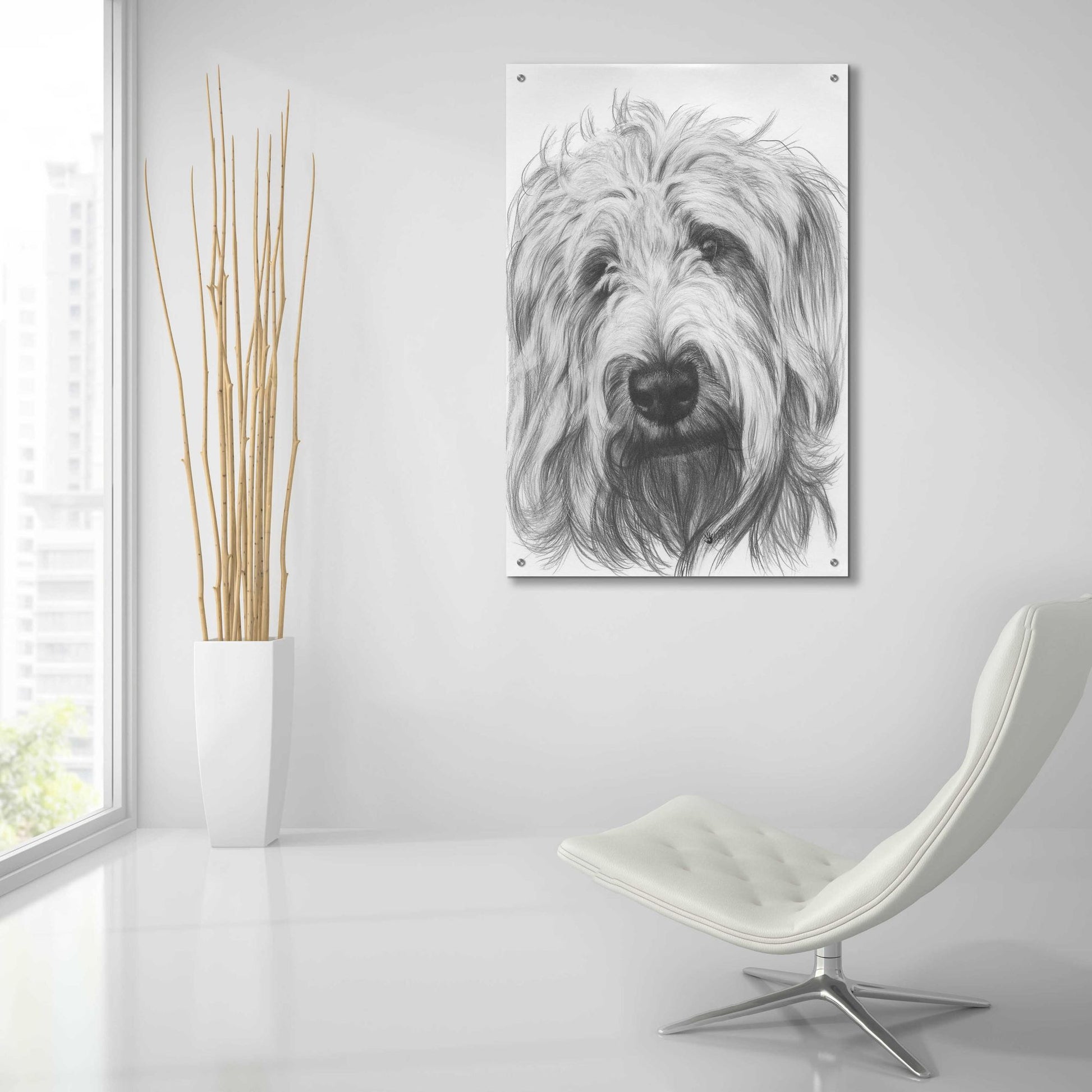 Epic Art 'Labradootle' by Barbara Keith, Acrylic Glass Wall Art,24x36