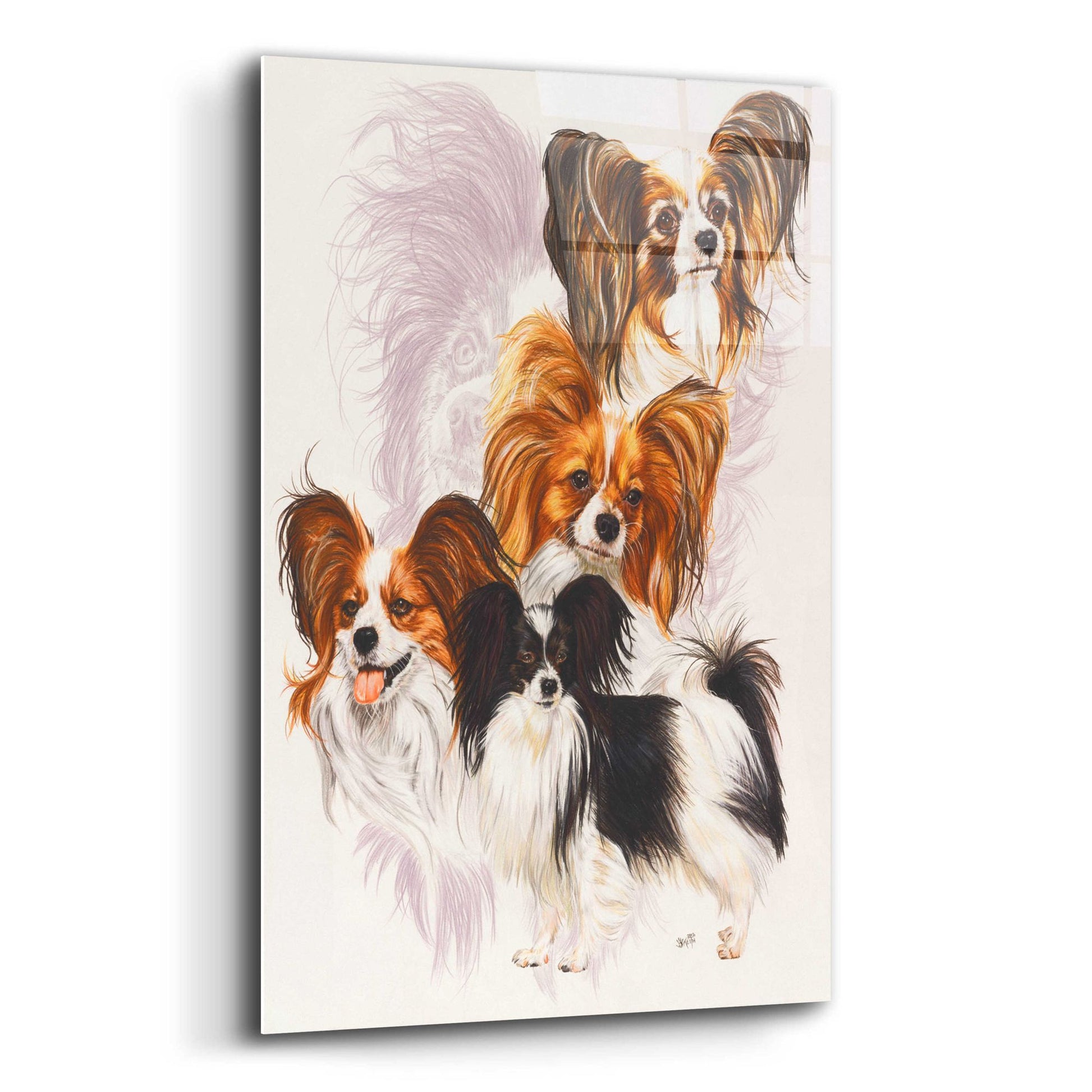 Epic Art 'Papillion' by Barbara Keith, Acrylic Glass Wall Art,12x16