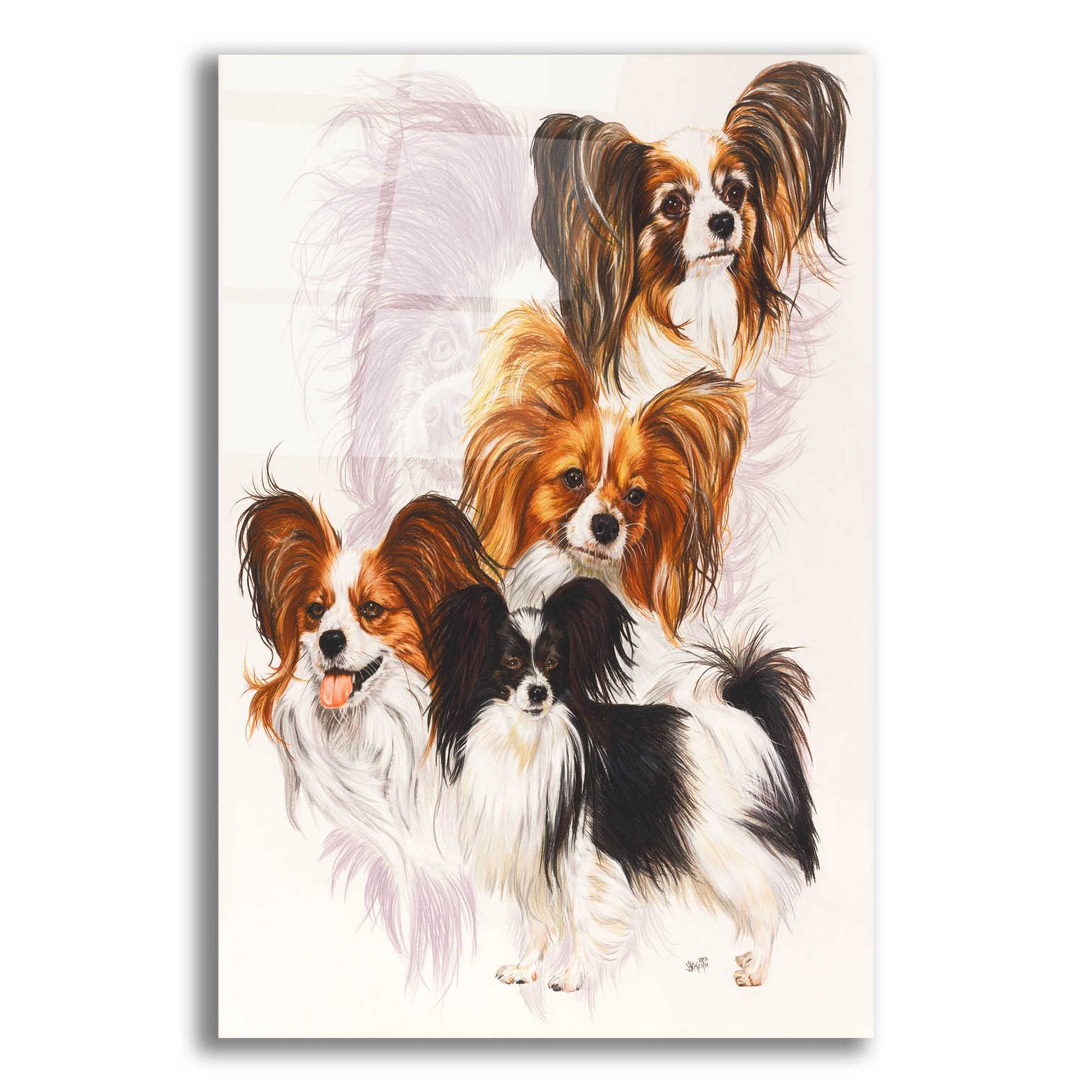 Epic Art 'Papillion' by Barbara Keith, Acrylic Glass Wall Art,12x16