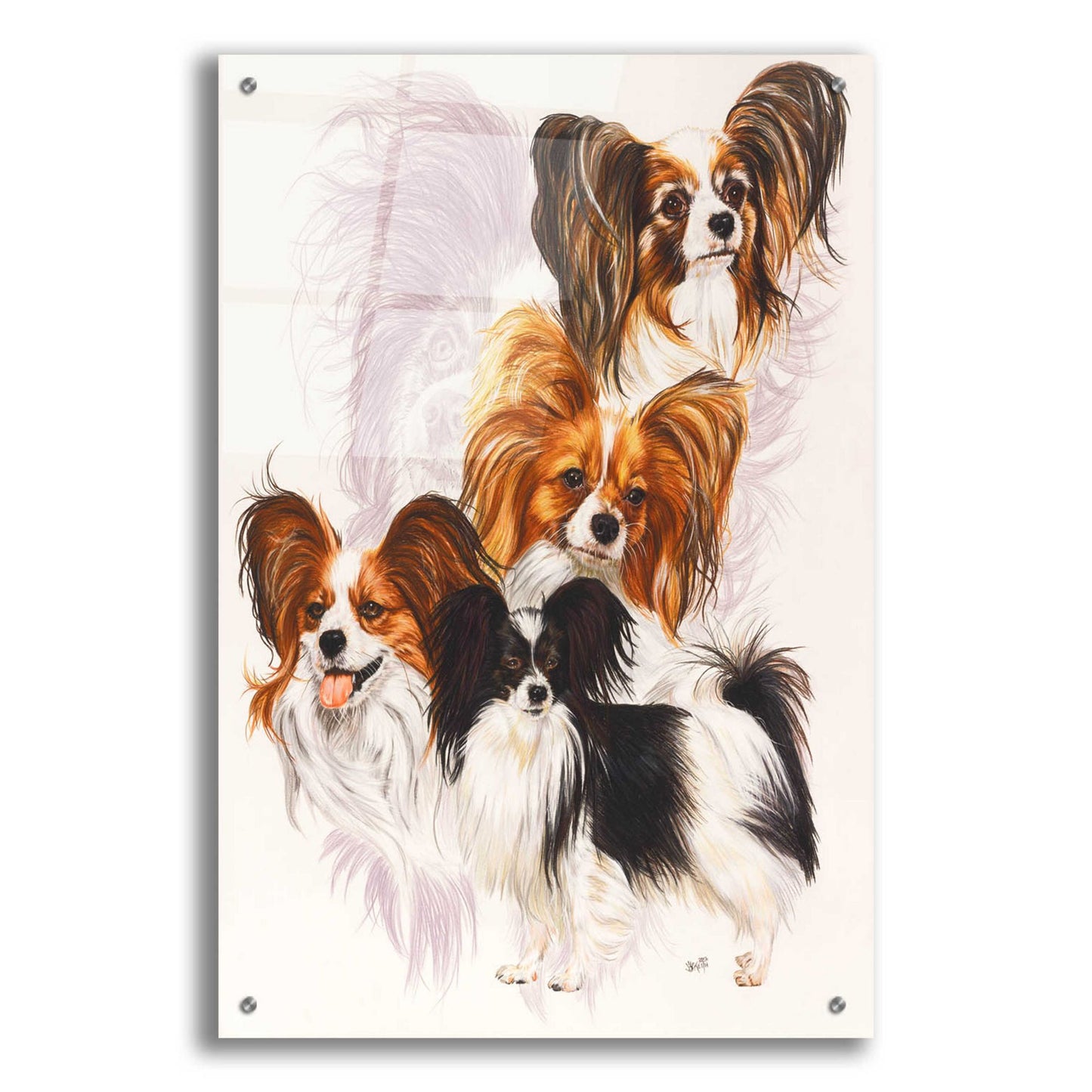 Epic Art 'Papillion' by Barbara Keith, Acrylic Glass Wall Art,24x36