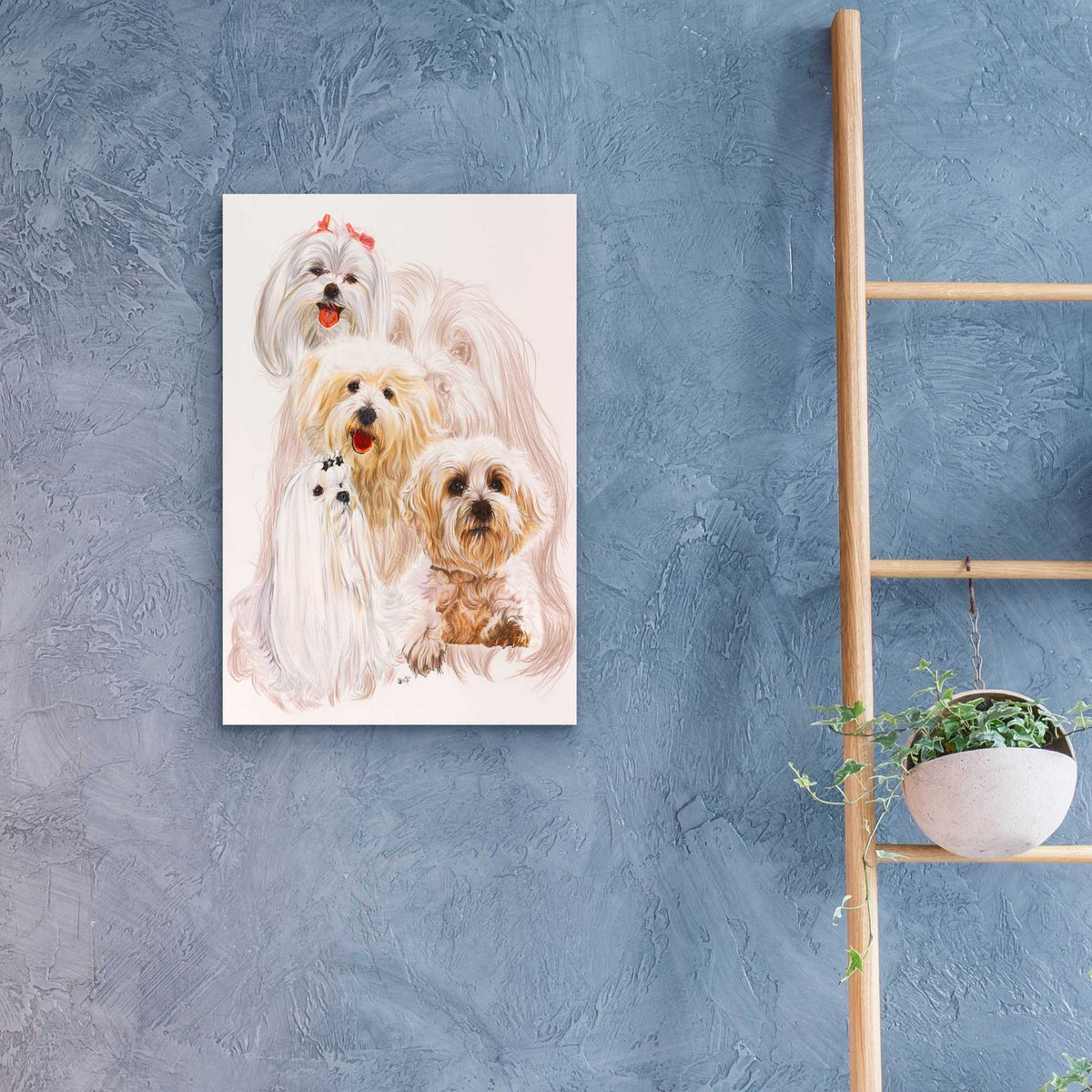 Maltese 3 by Barbara Keith - 16x24 acrylic wall art in a room