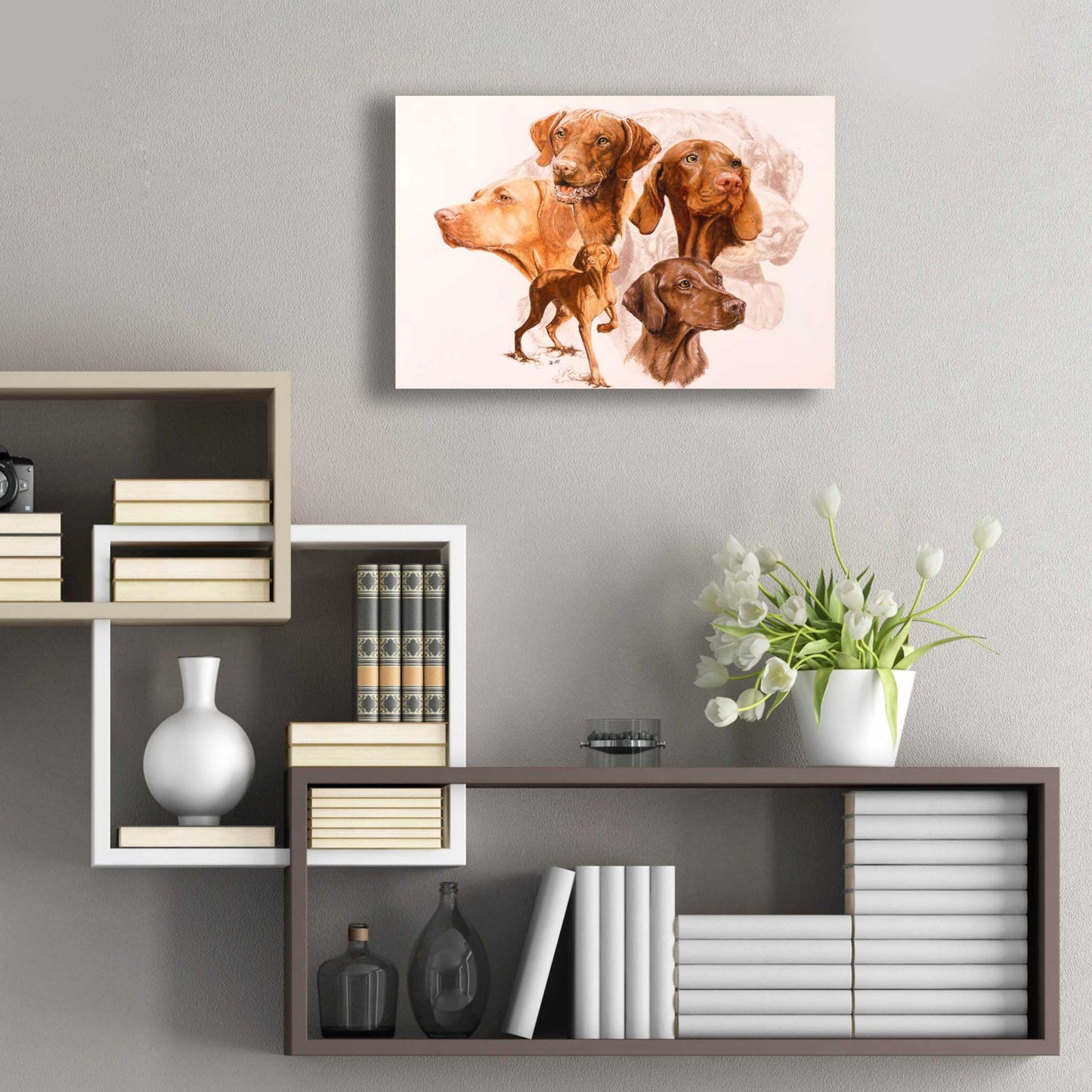 Epic Art 'Vizsla' by Barbara Keith, Acrylic Glass Wall Art,24x16