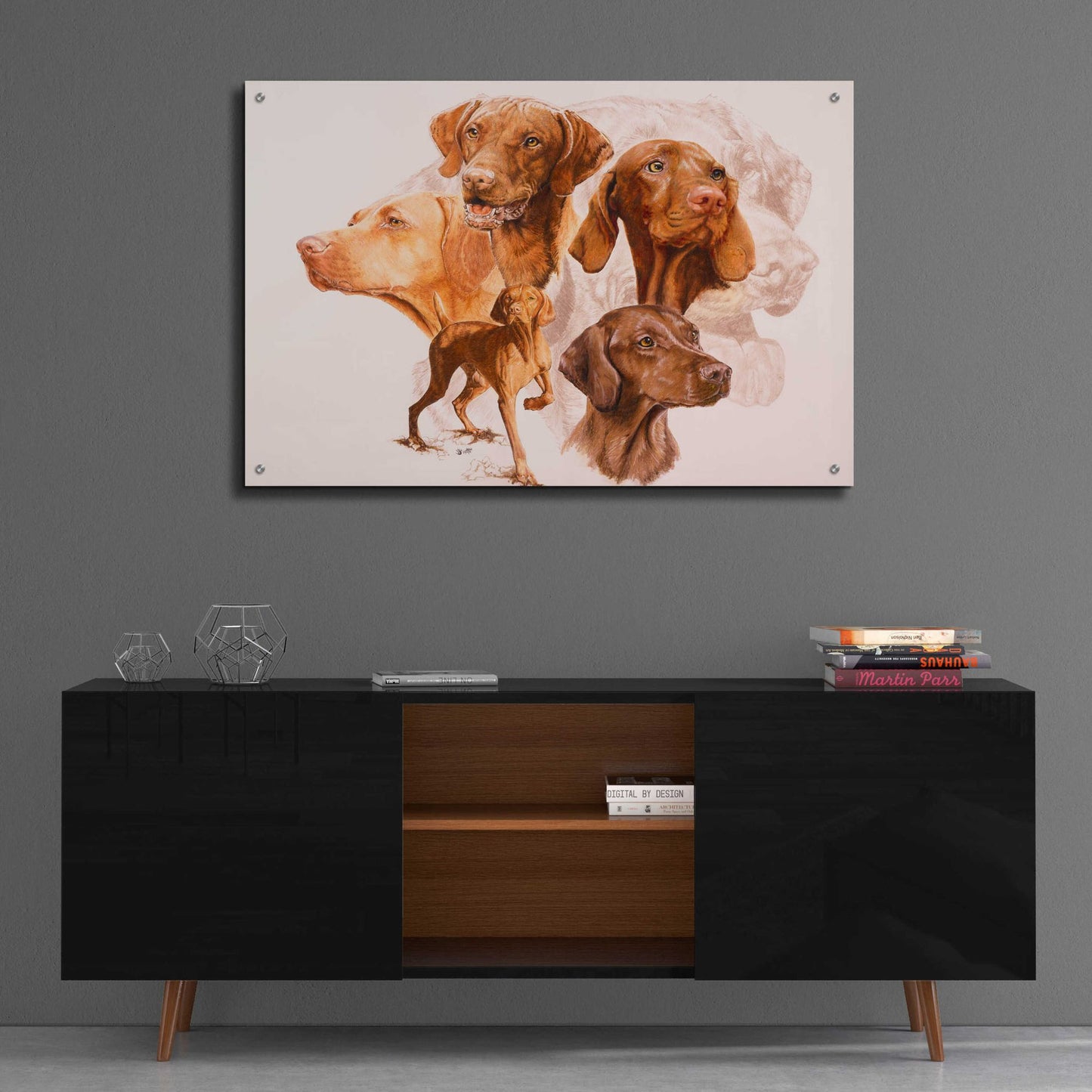 Epic Art 'Vizsla' by Barbara Keith, Acrylic Glass Wall Art,36x24